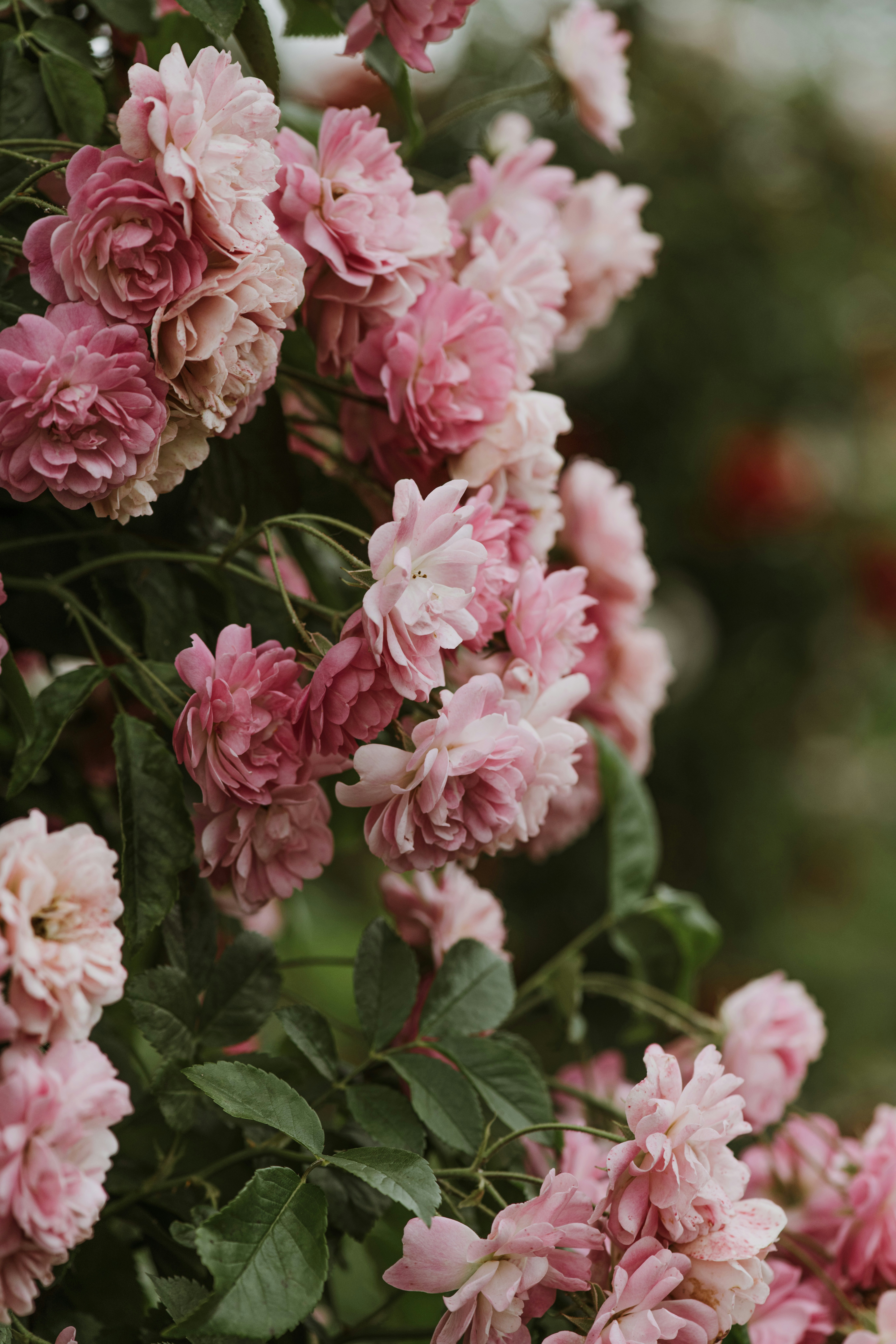 Photo by anitaaustvika