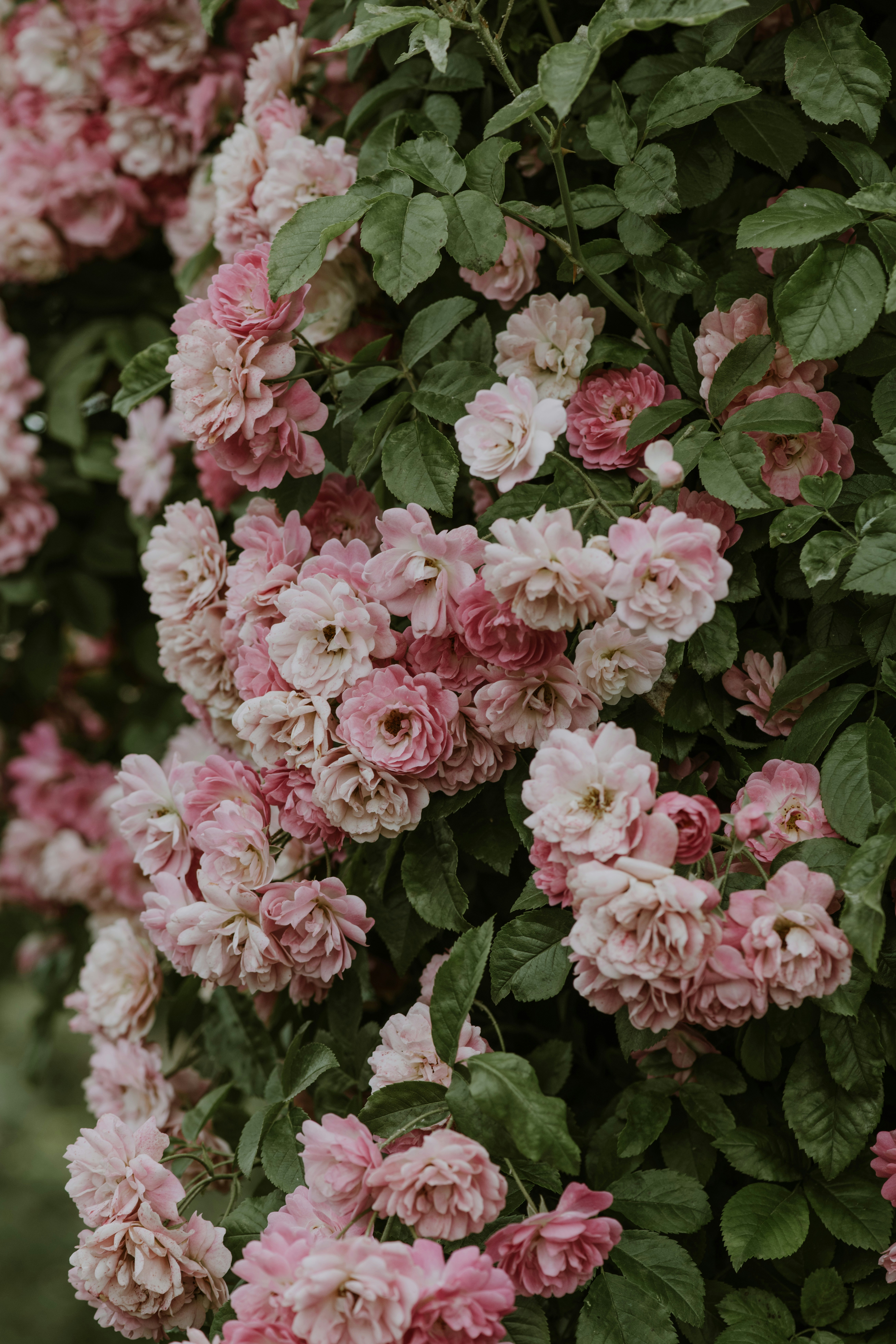 Photo by anitaaustvika