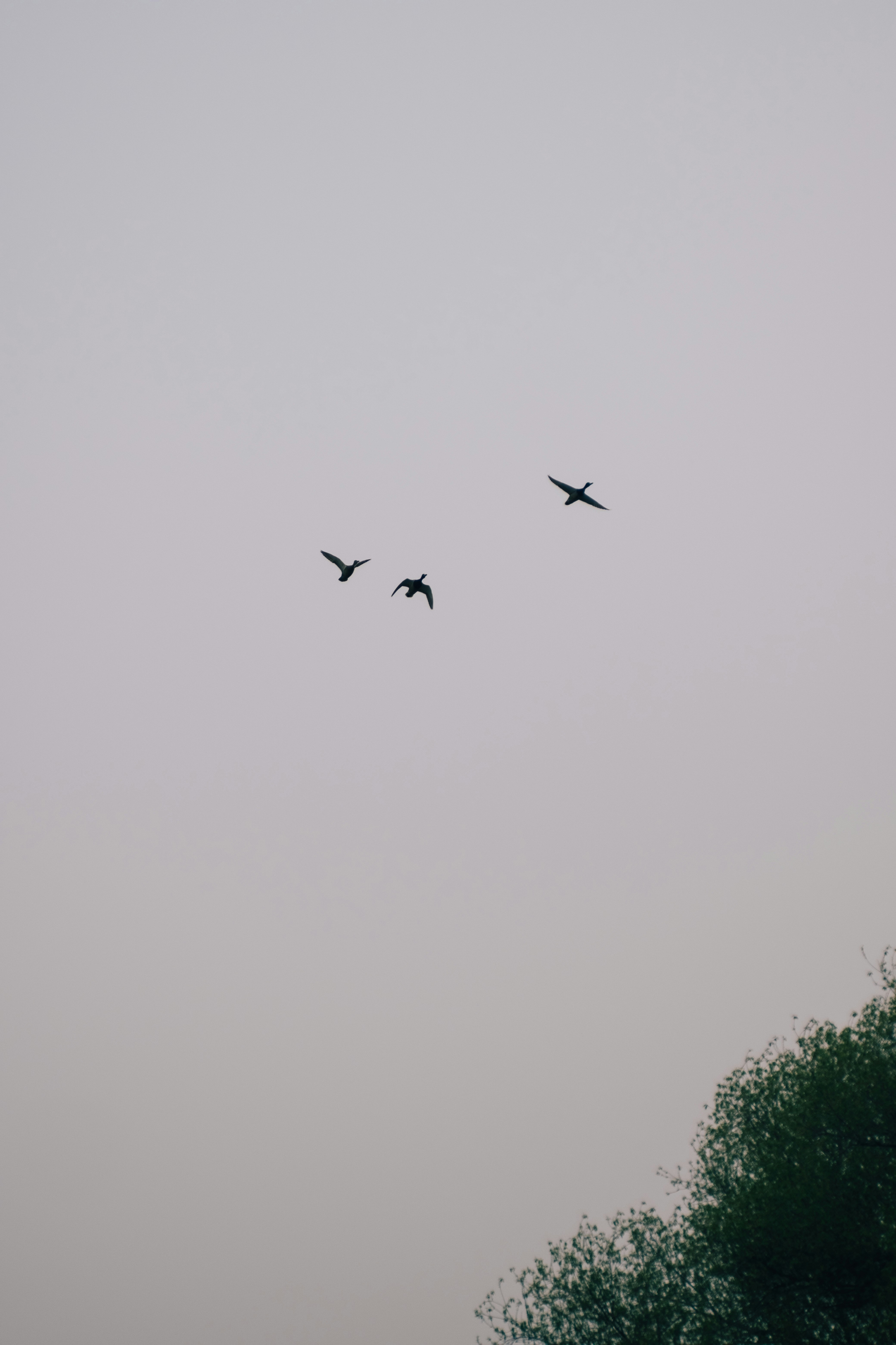 Photo by destroyer25t