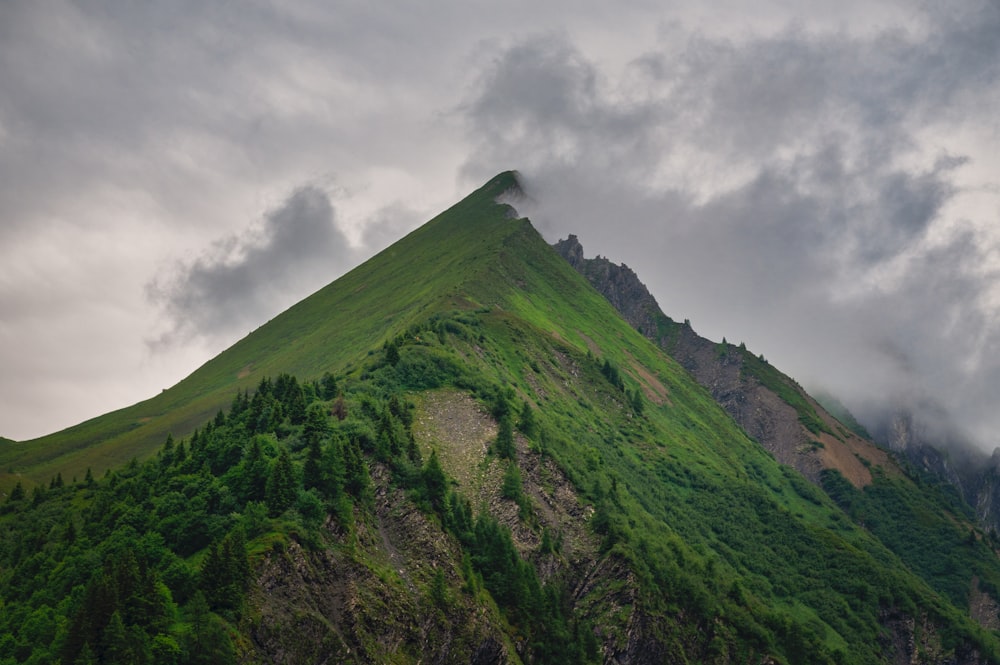 a very tall green mountain covered in trees