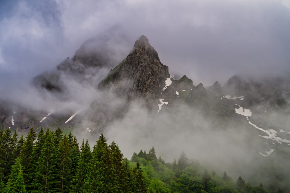 a mountain covered in clouds and trees on a cloudy day