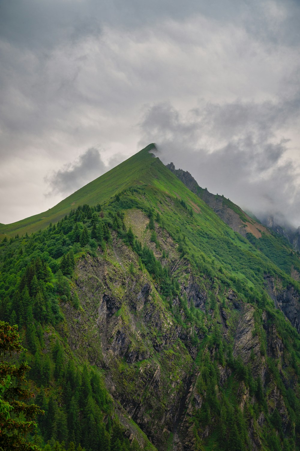 a large green mountain covered in trees under a cloudy sky