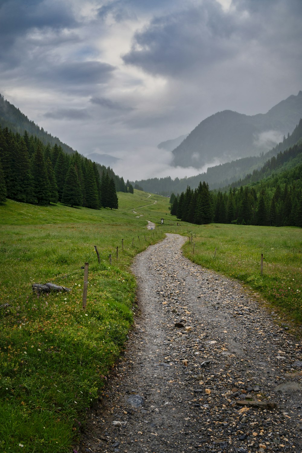 a dirt road in the middle of a grassy field