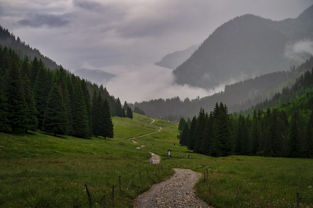 a path in the middle of a field with a mountain in the background