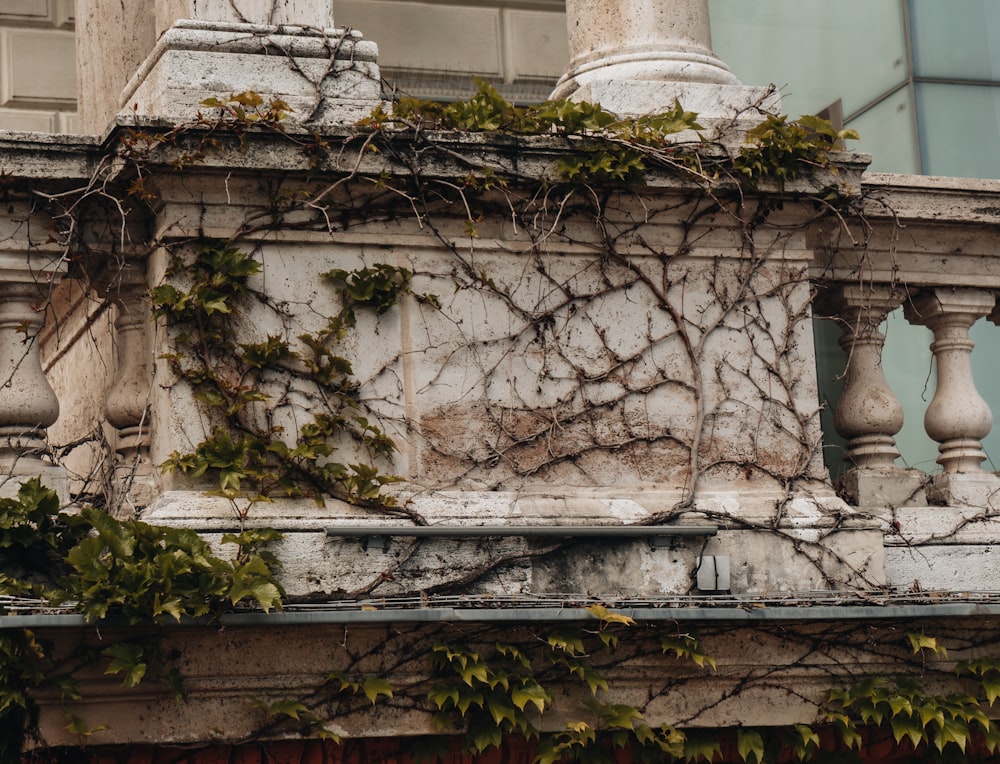 a building with vines growing on the side of it