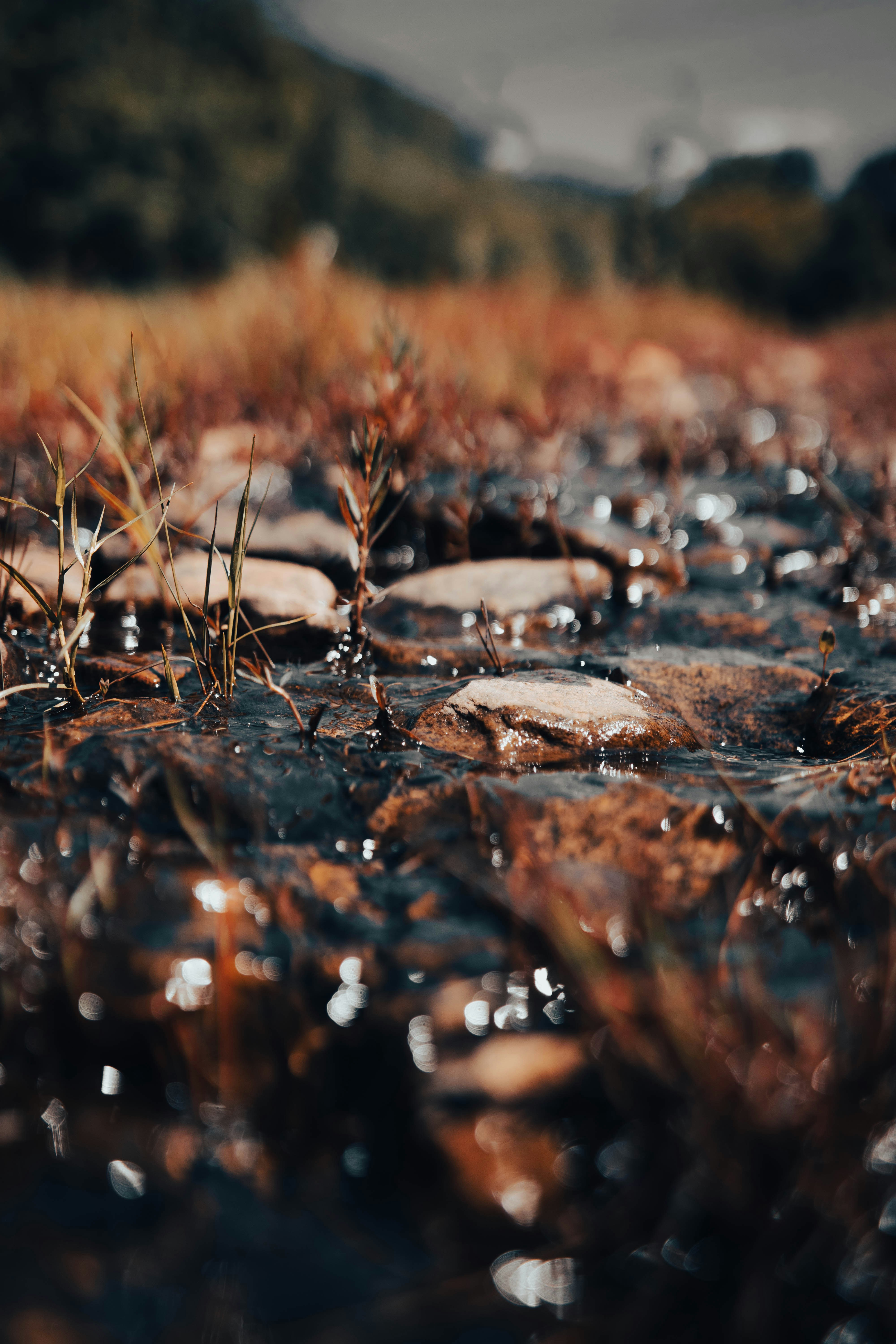 a close up of a small stream of water