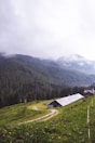 A serene mountain landscape with a rustic wooden cabin nestled on a grassy hillside. The scene is framed by dense evergreen forests and misty clouds partially covering the mountain peaks in the background. A narrow, winding path leads to the cabin, adding a sense of depth to the idyllic rural setting.