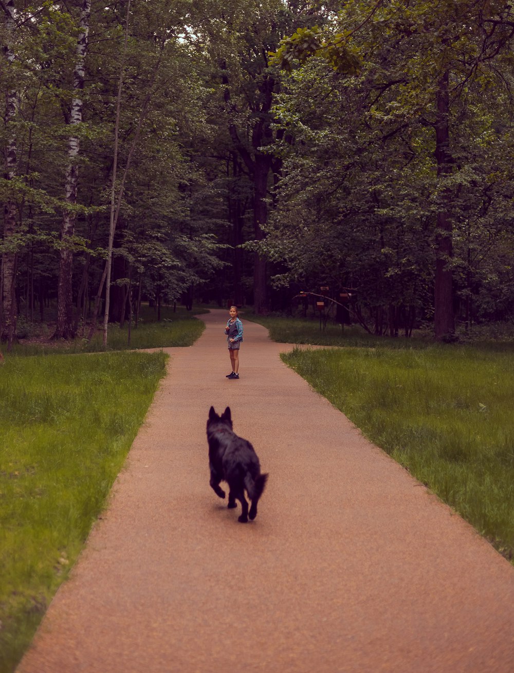 a person walking a dog down a path in the woods