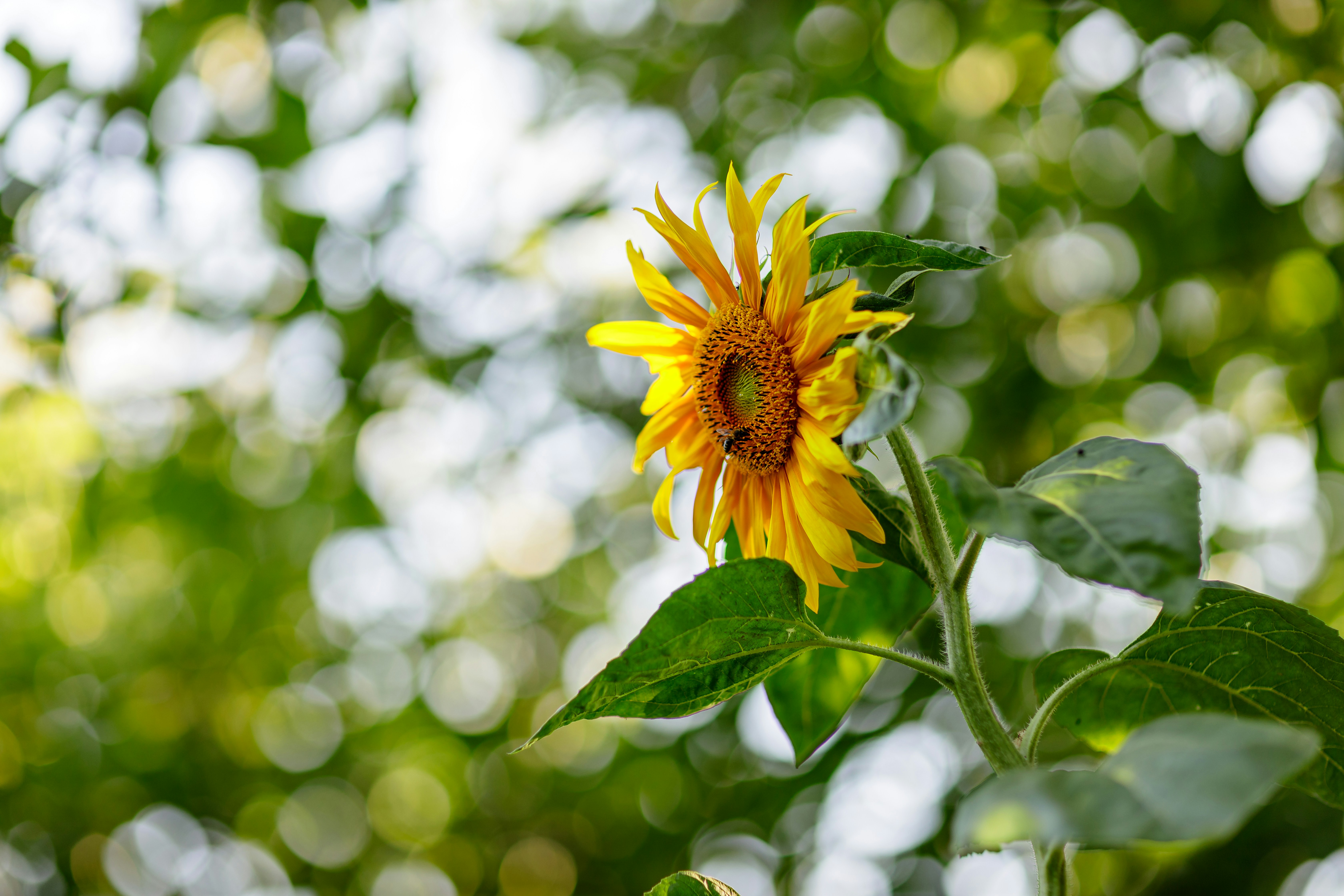 Photo by malygos6000