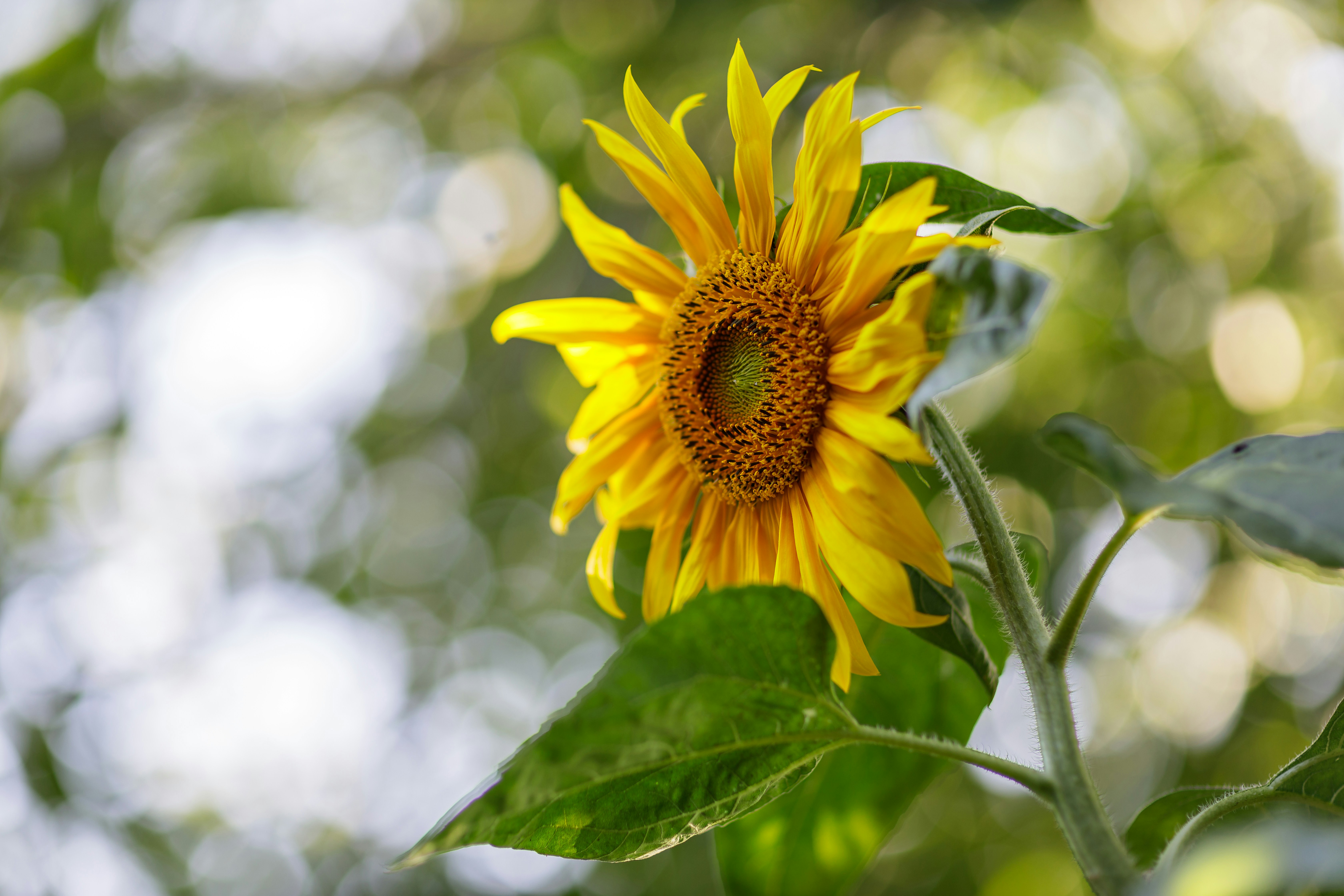 Photo by malygos6000