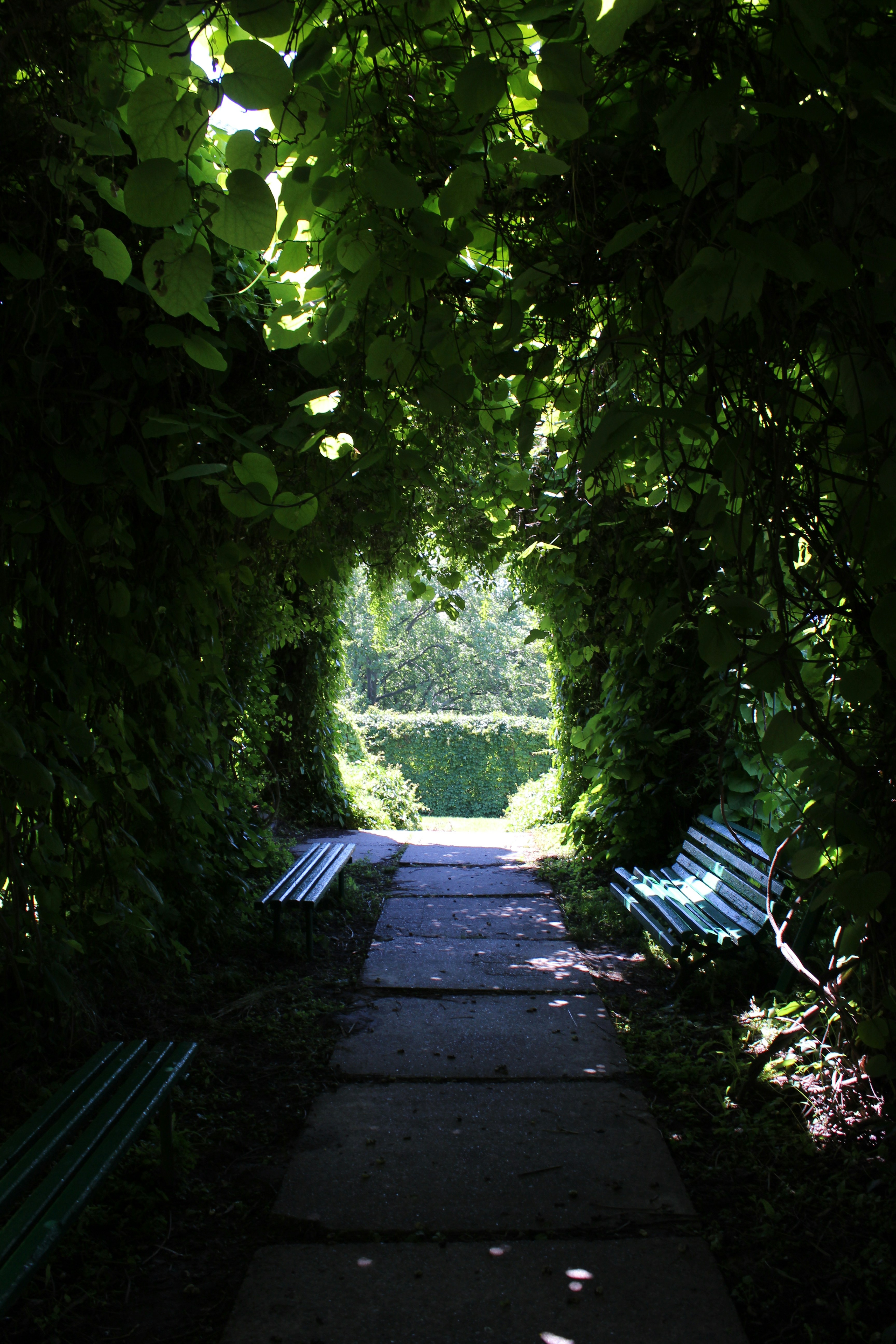 Photo by semochka_21