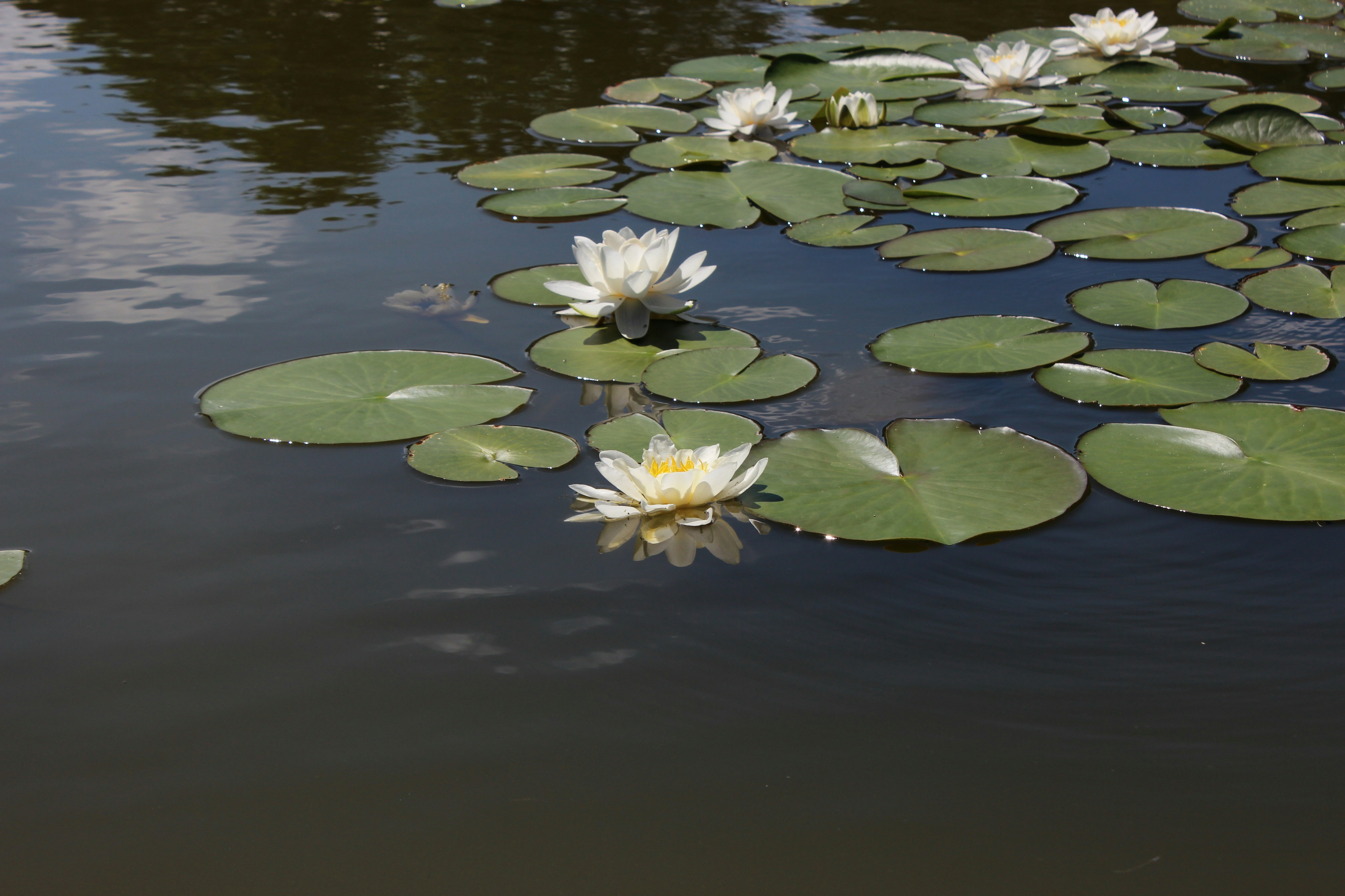 Photo by semochka_21