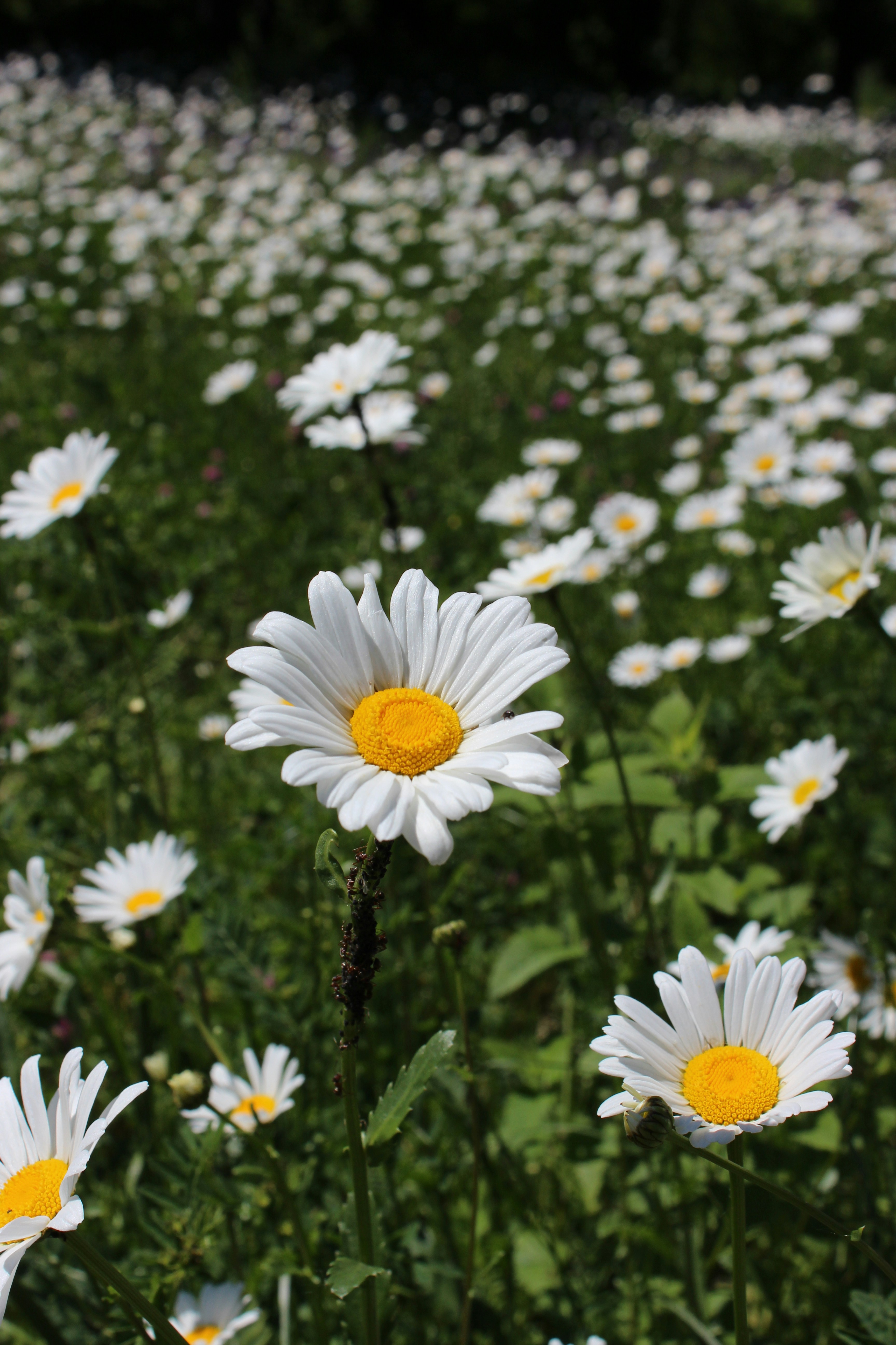 Photo by semochka_21