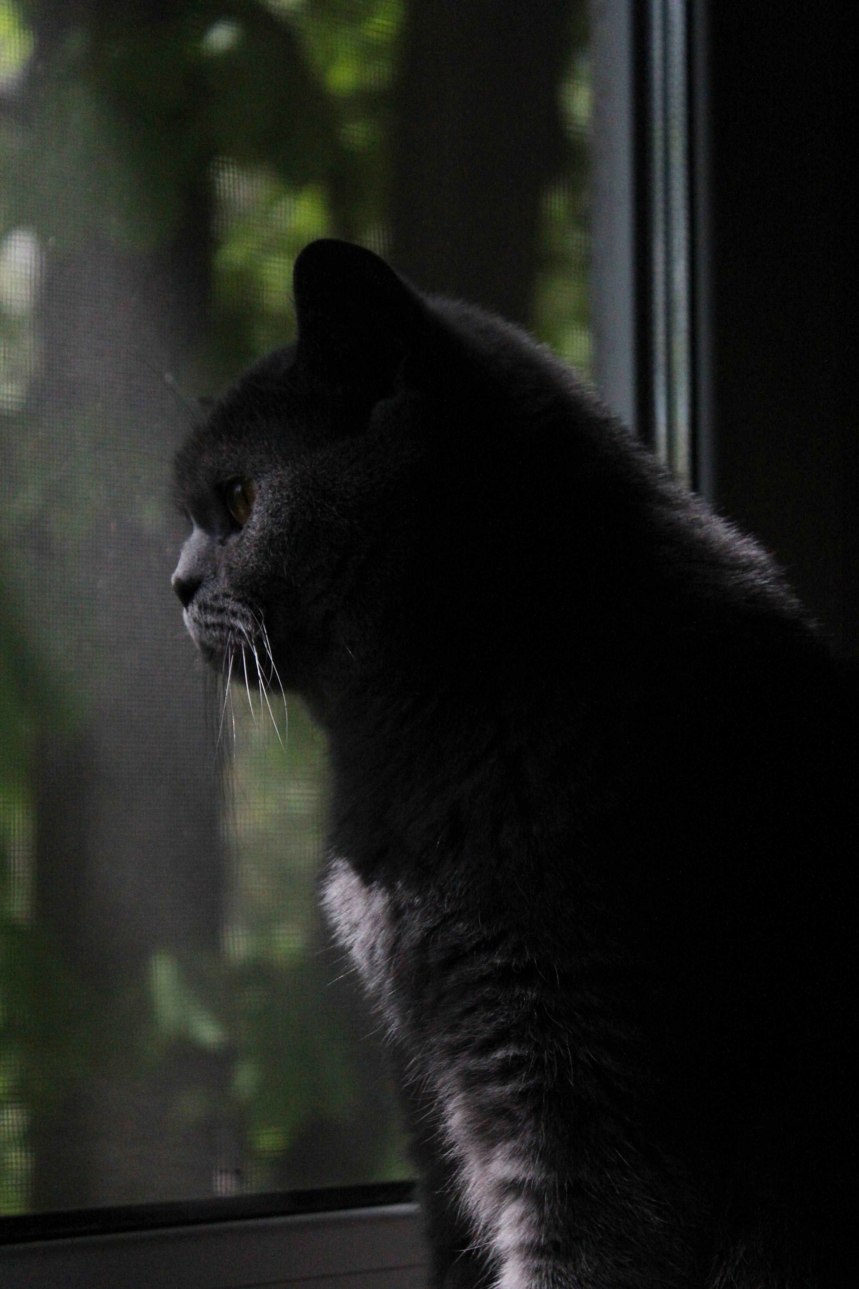 Photo by semochka_21