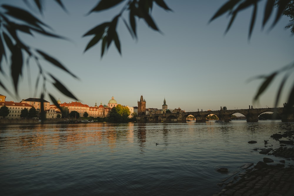 a view of a river with a bridge in the background