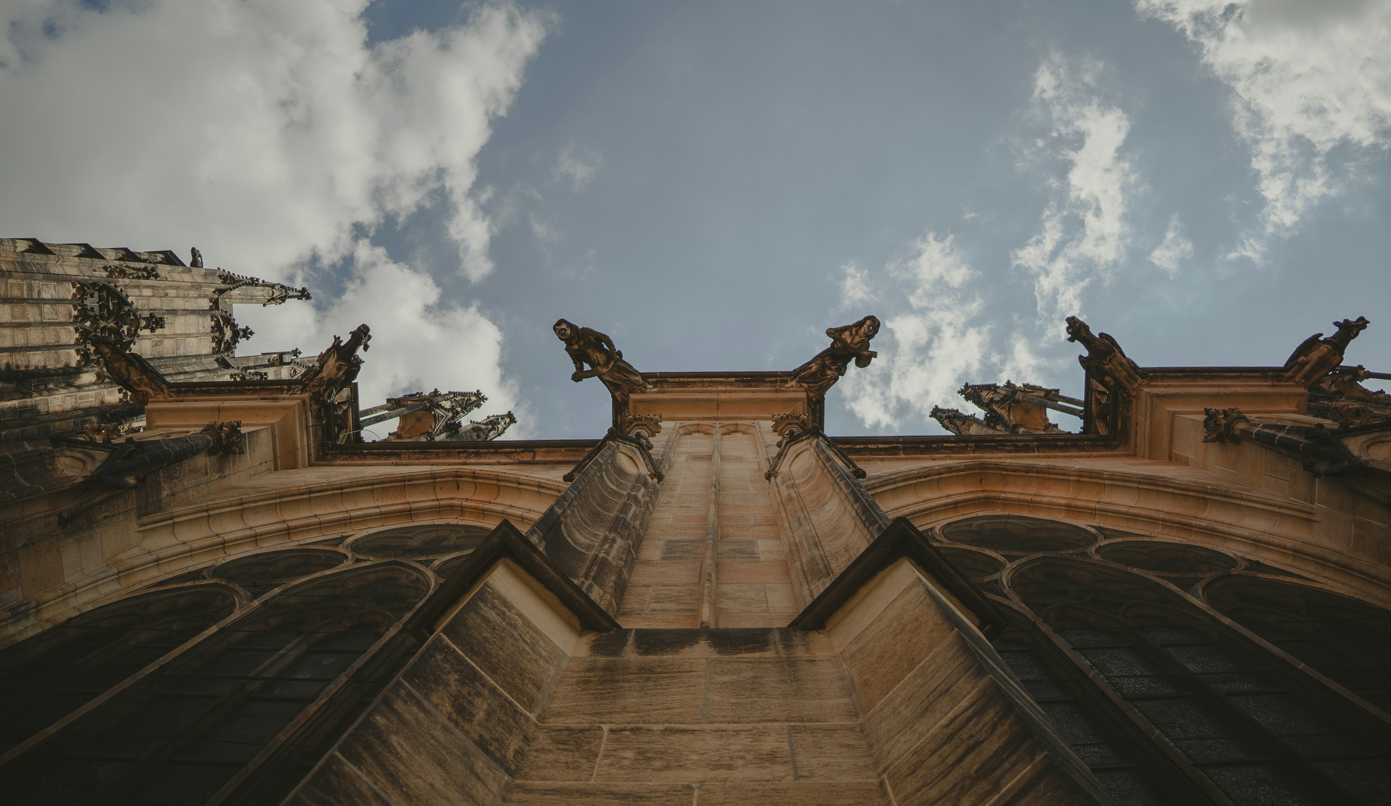 Photo by aaphotoverse