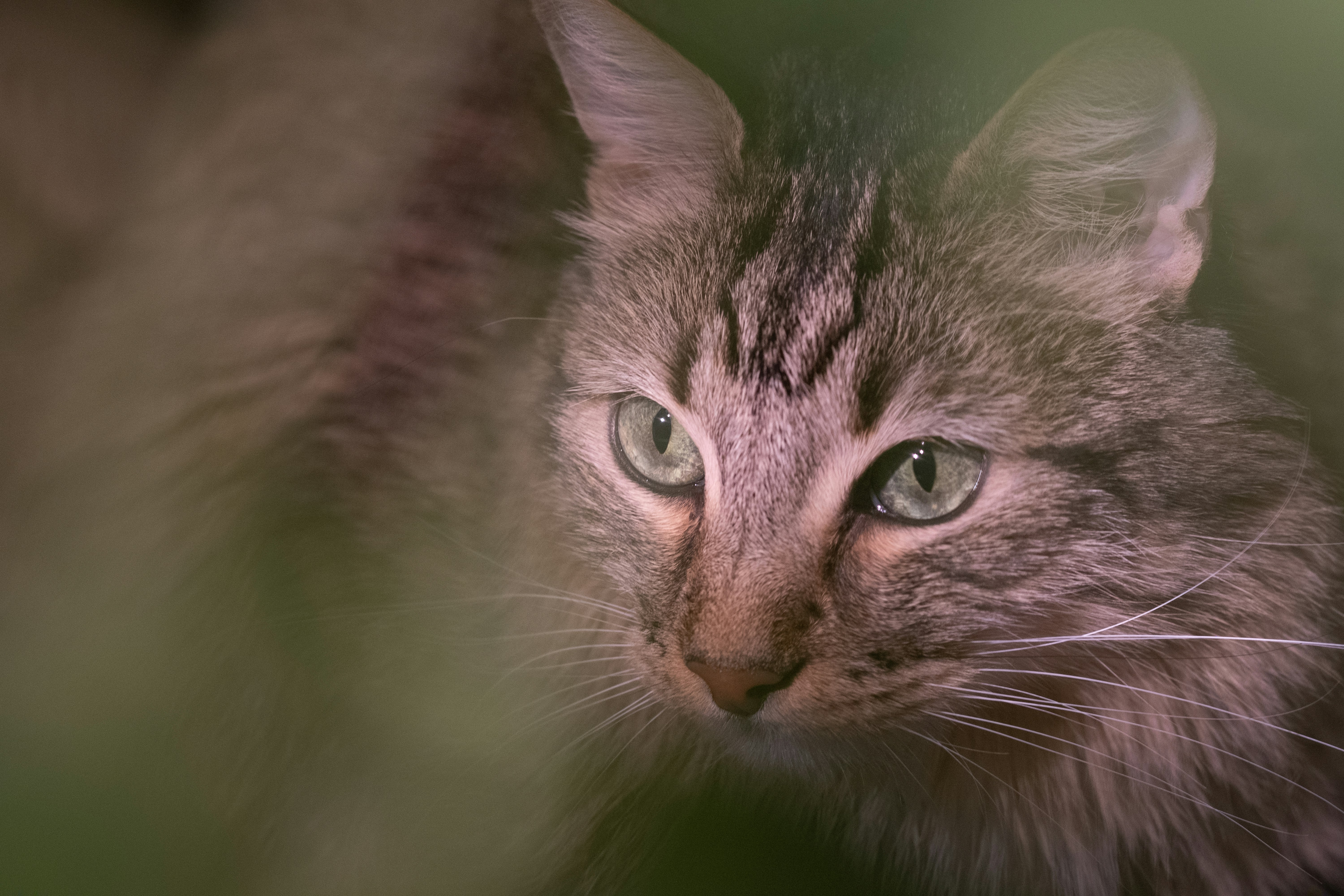 Photo by correliebre