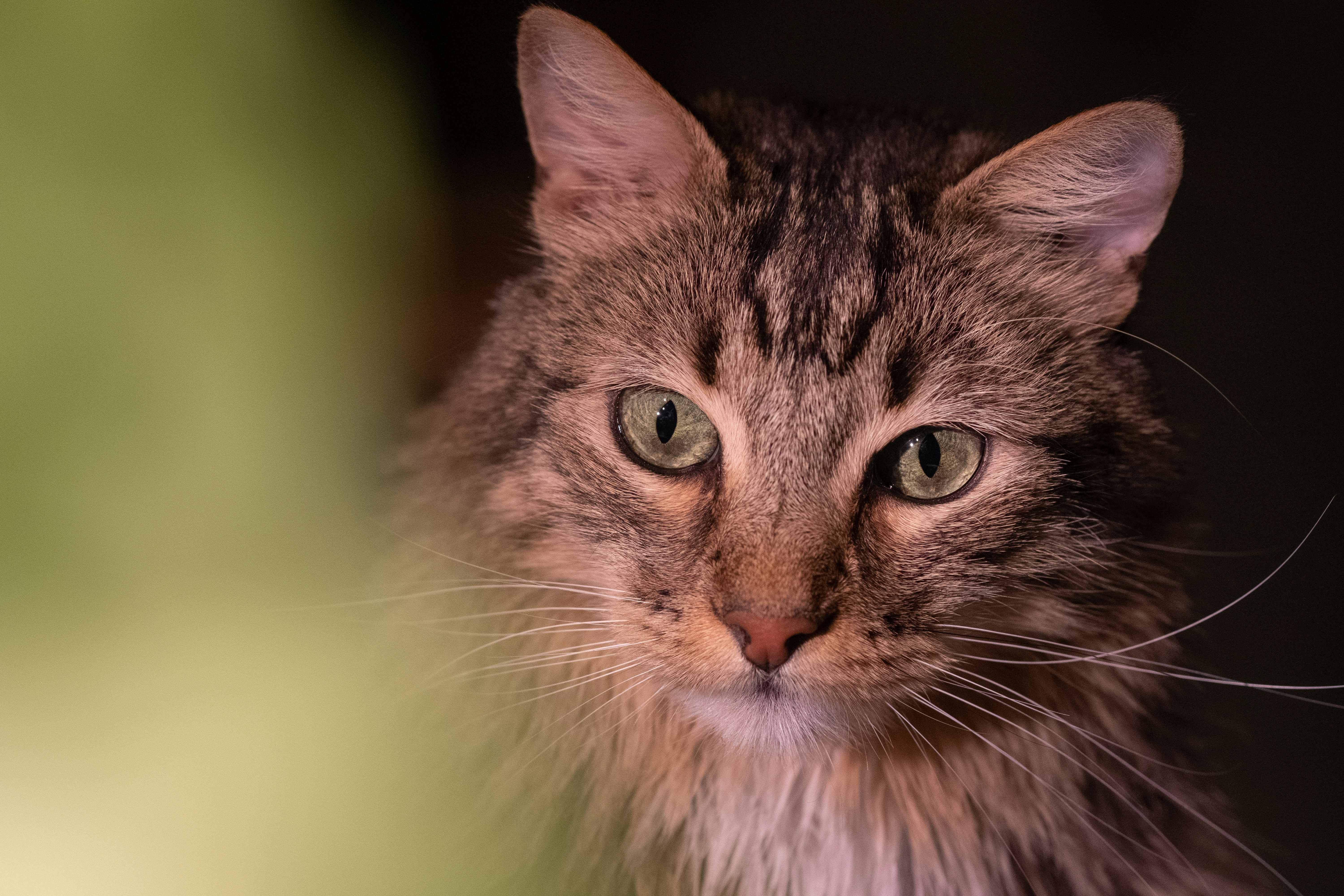 Photo by correliebre