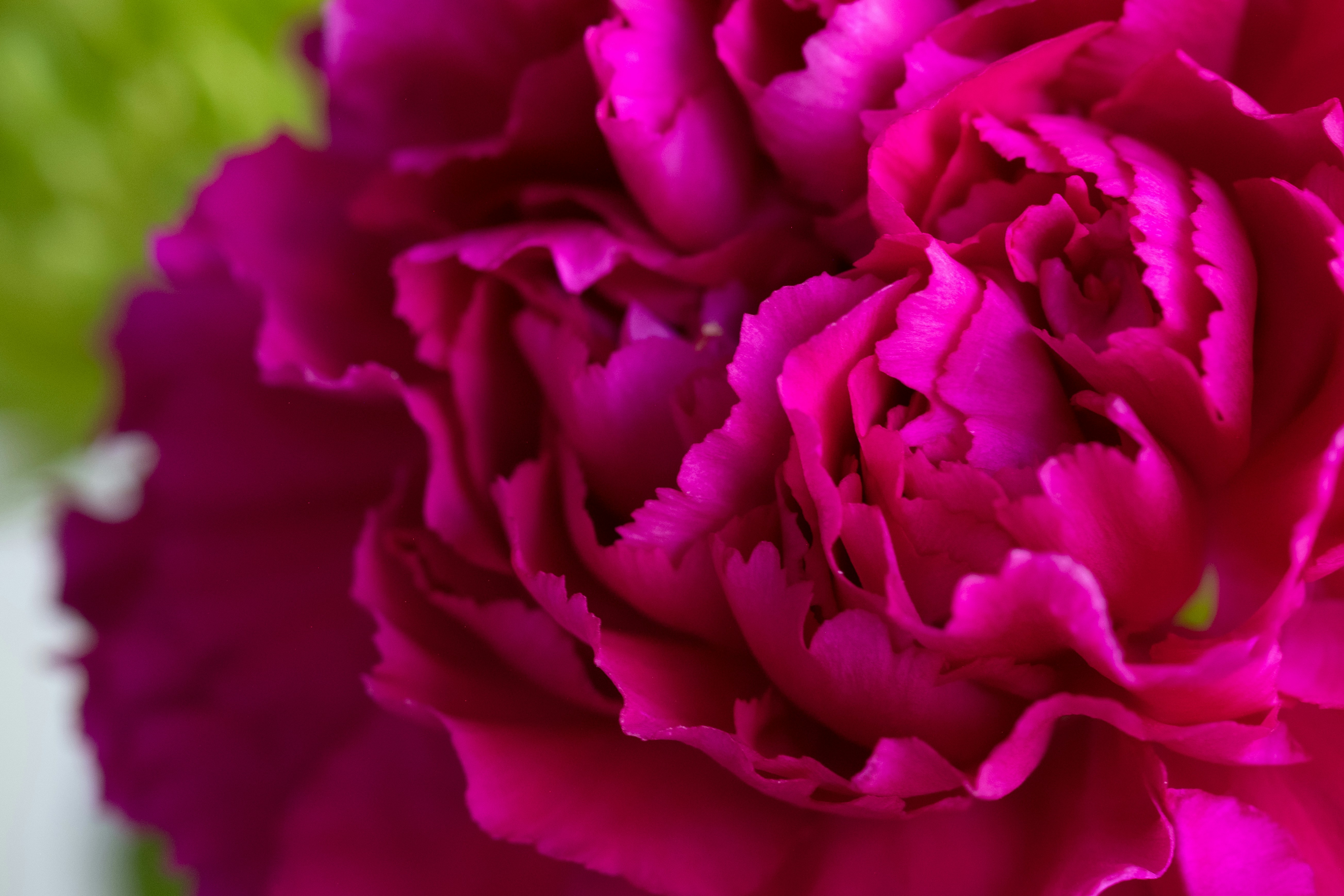 Photo by correliebre