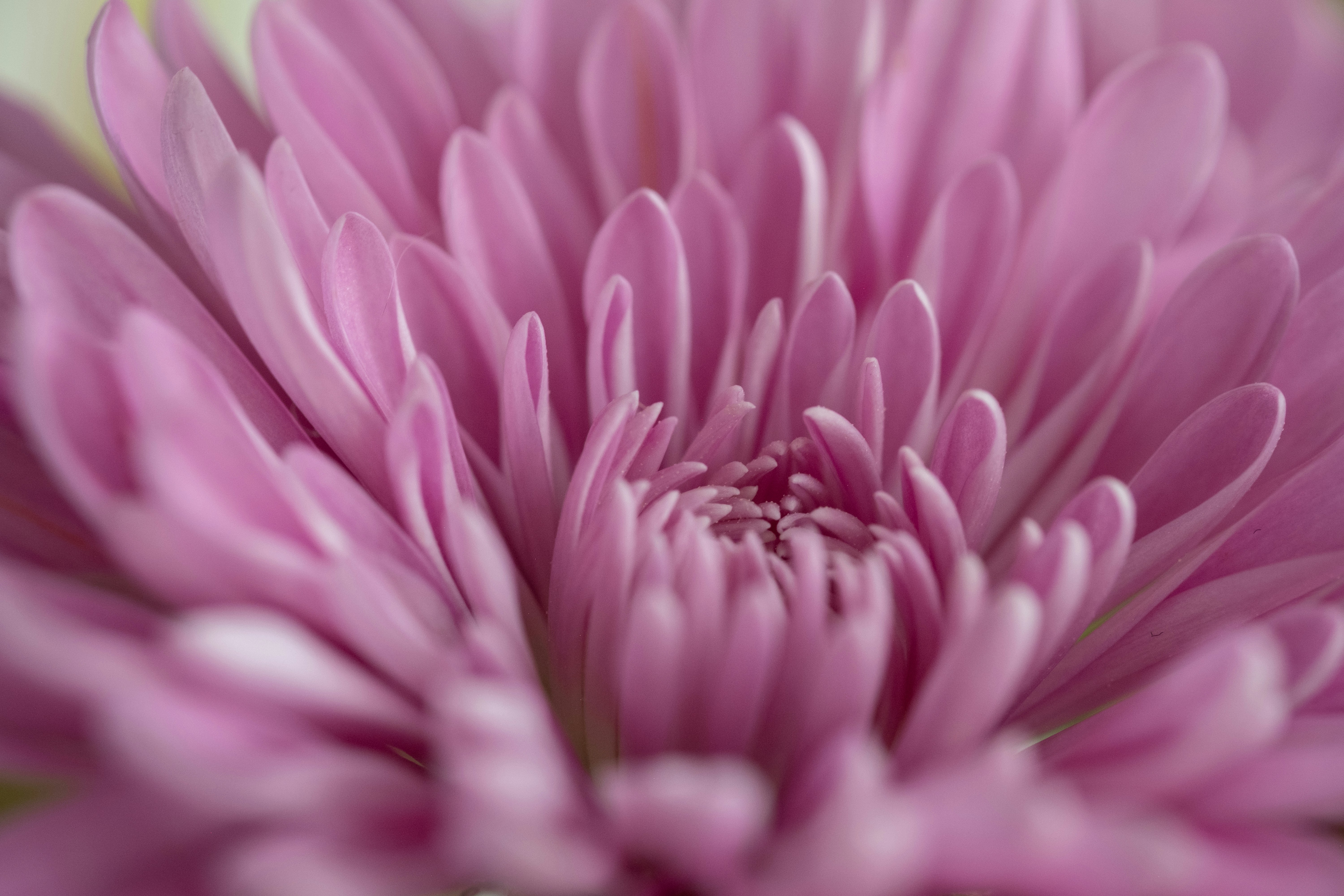 Photo by correliebre