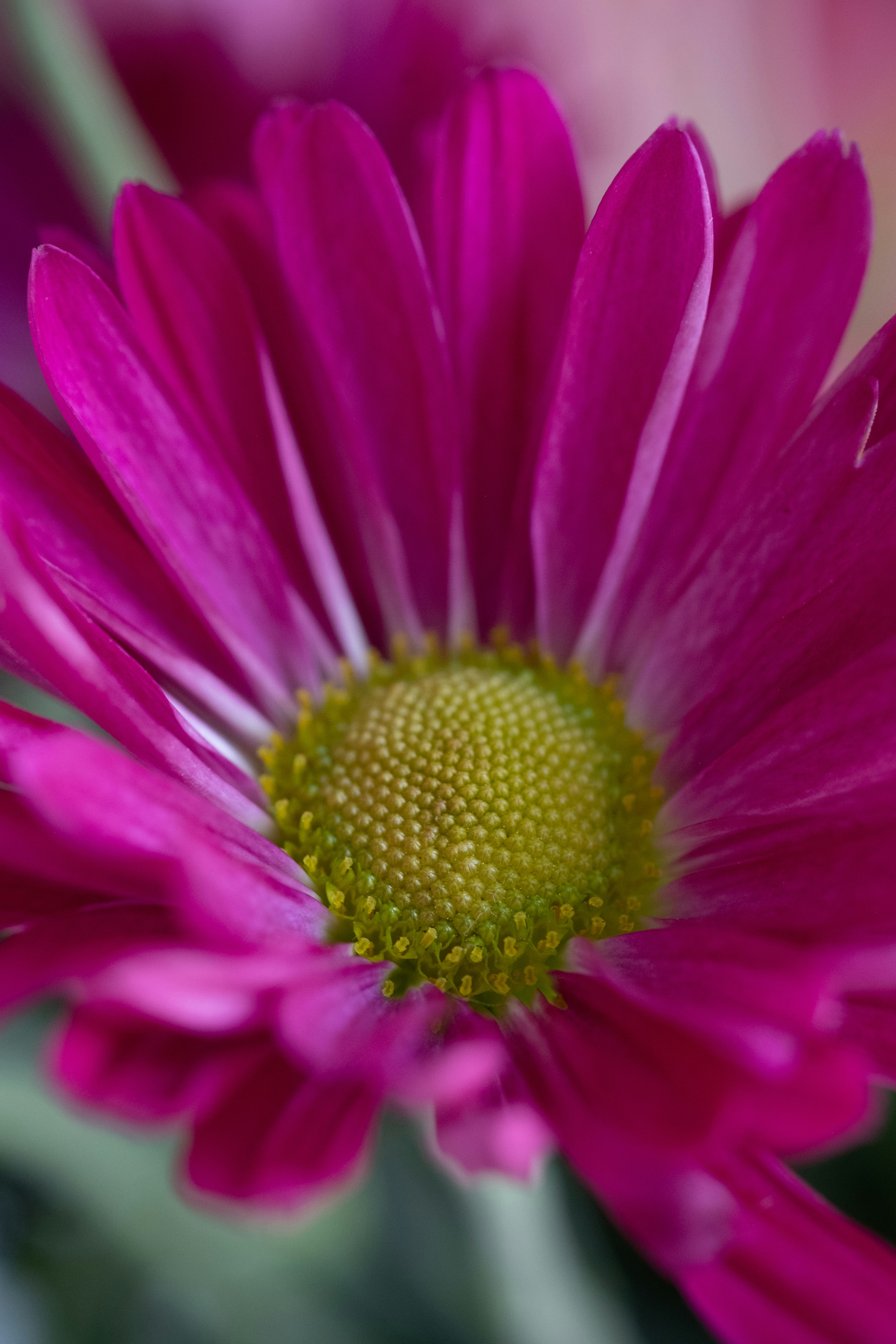 Photo by correliebre