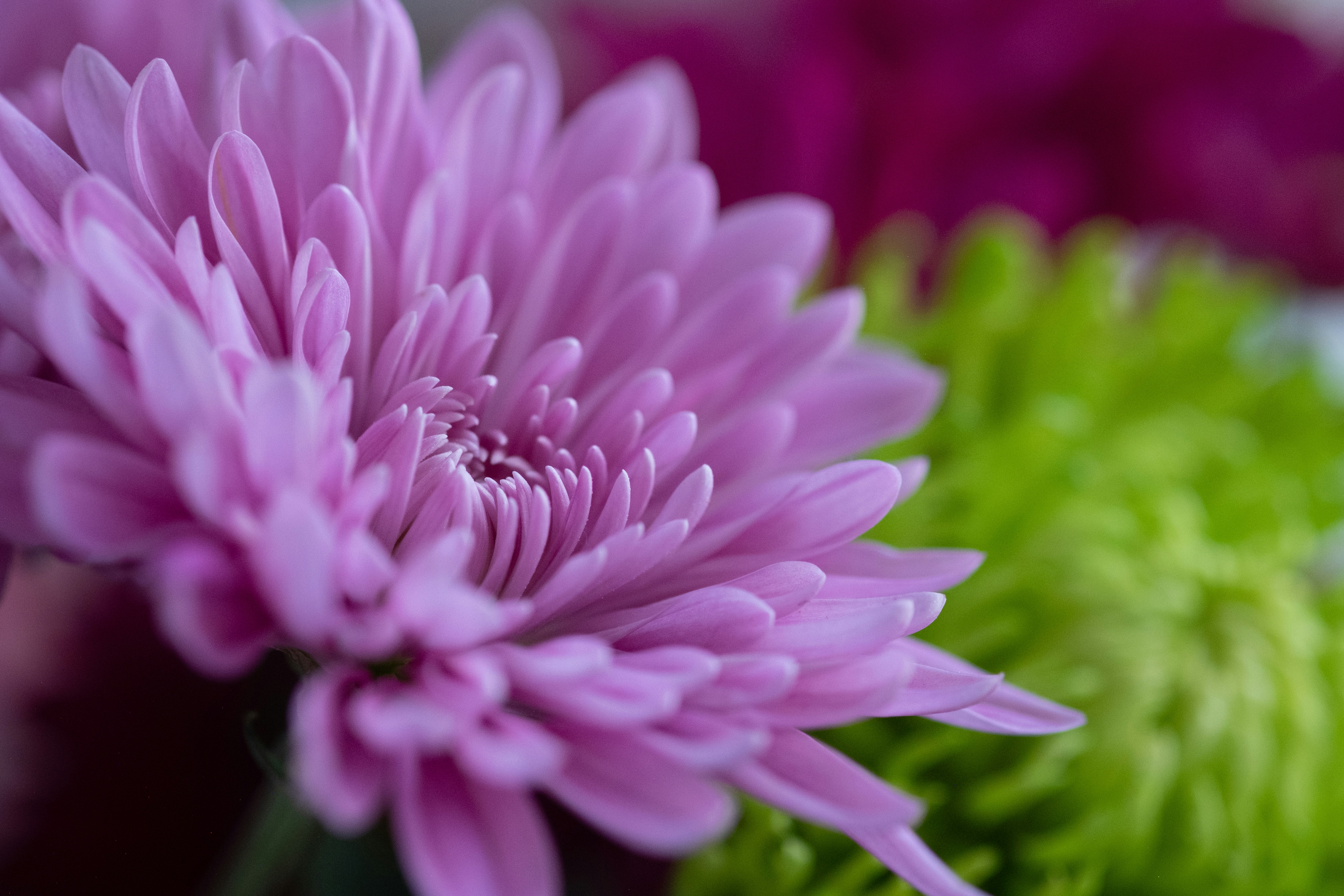 Photo by correliebre