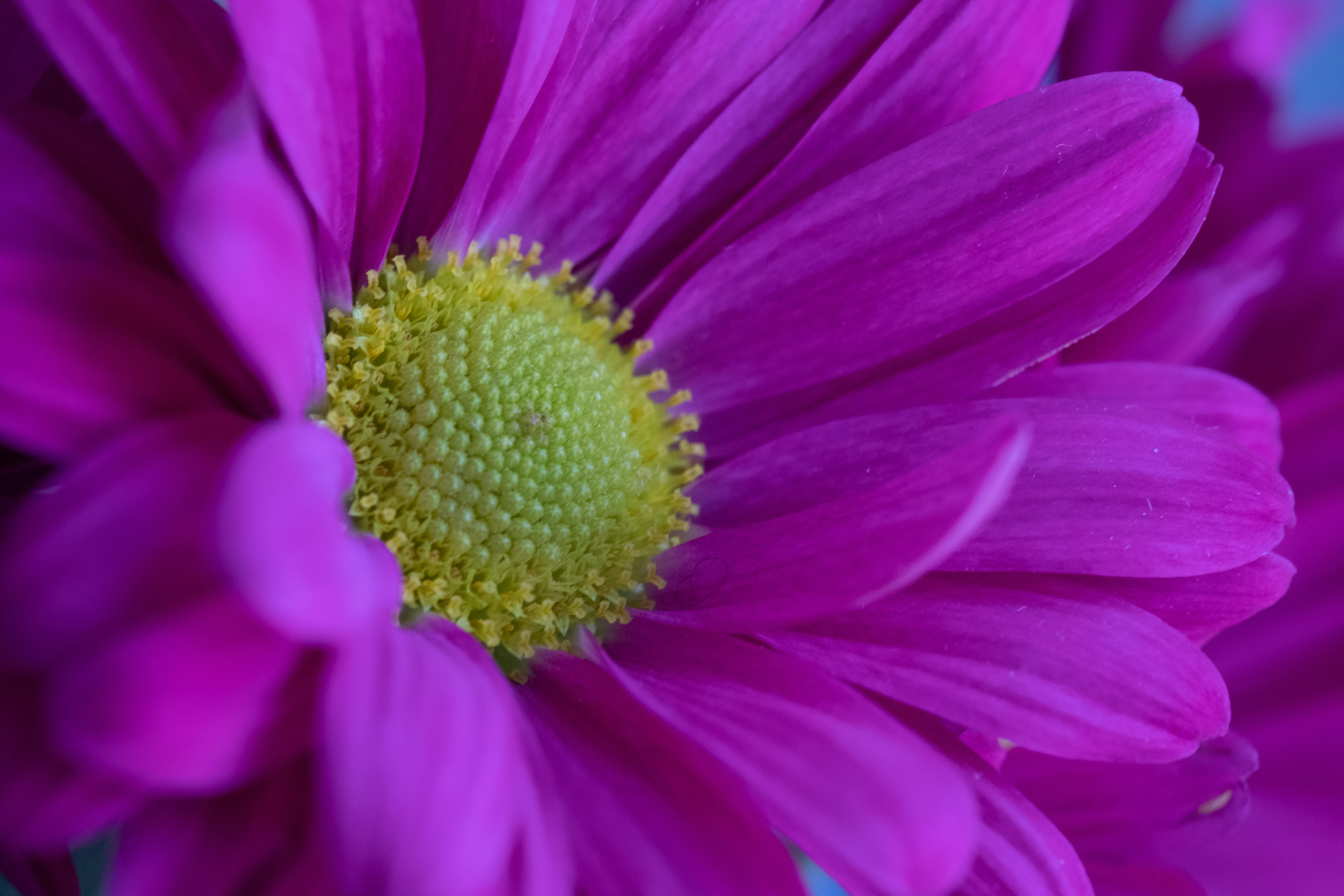 Photo by correliebre