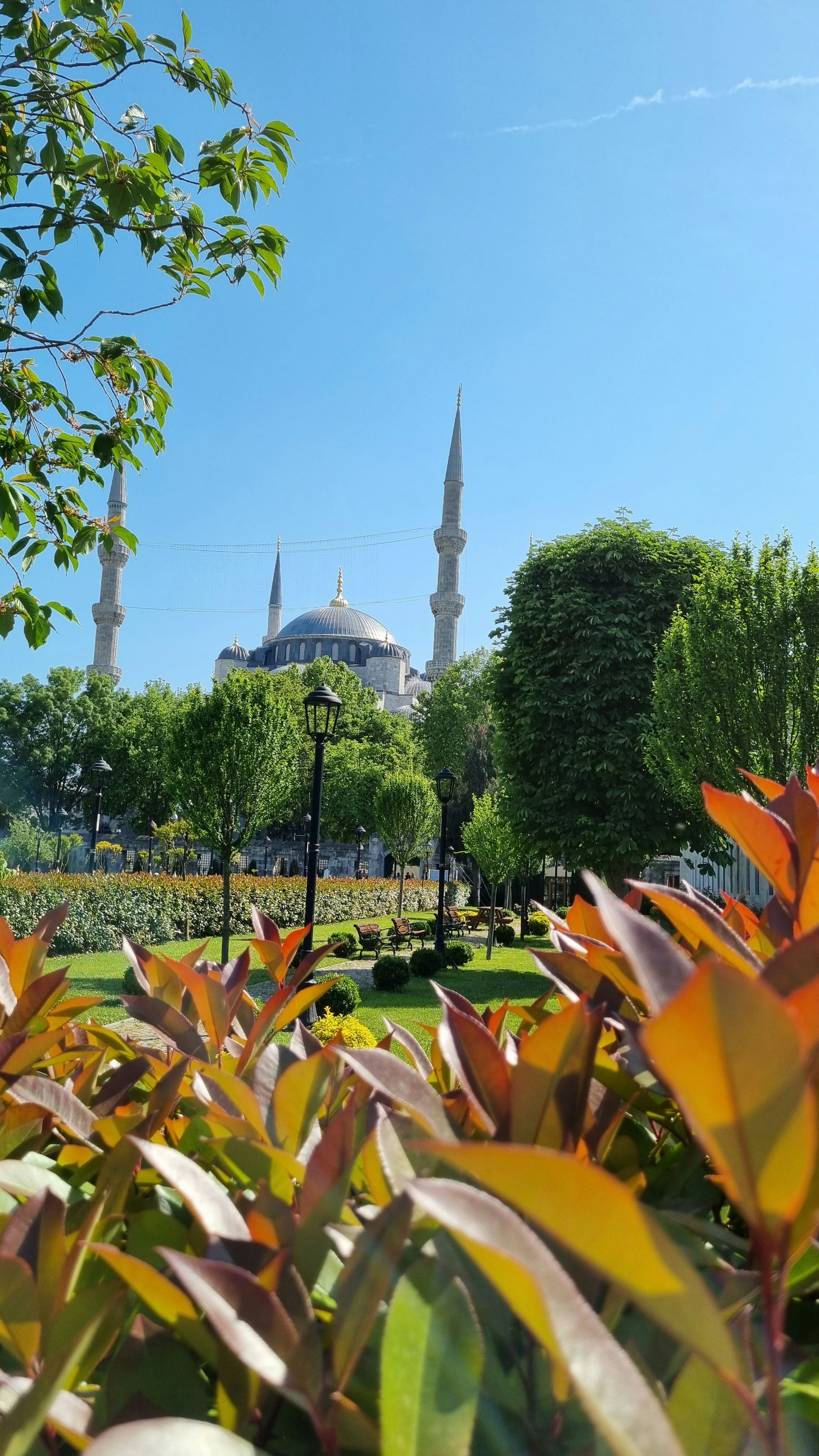 photo-1688421601685-e92b547c563a