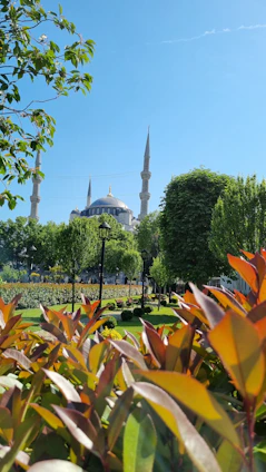 A beautifully landscaped garden in Riyadh with vibrant flowers and lush greenery.