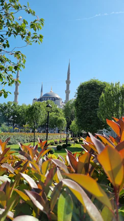 Beautifully landscaped Riyadh garden with lush greenery and colorful flowers
