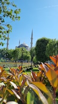 A beautiful garden with vibrant green foliage and manicured lawns is framed by red-purplish leaves in the foreground. In the background, the spires and dome of a mosque rise majestically against a clear blue sky, surrounded by tall trees.