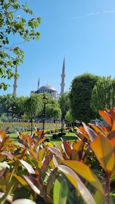 A beautiful garden with vibrant green foliage and manicured lawns is framed by red-purplish leaves in the foreground. In the background, the spires and dome of a mosque rise majestically against a clear blue sky, surrounded by tall trees.