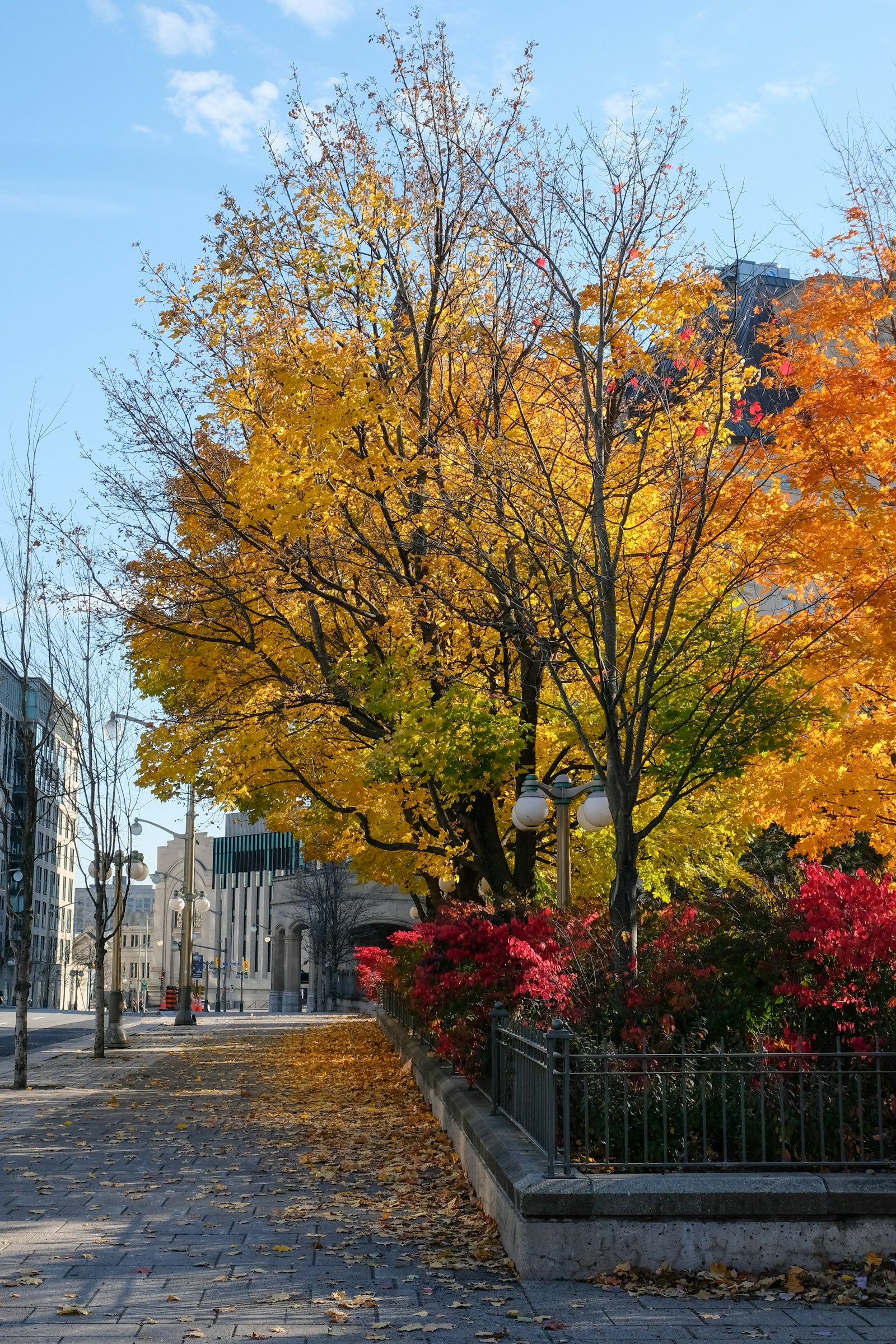 Living in Centretown Ottawa – A Complete Neighbourhood Guide