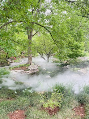 A serene garden landscape showcasing lush greenery and a tranquil atmosphere.