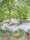 A serene garden area with lush greenery and a peaceful atmosphere.