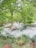 A serene garden area with lush greenery and a peaceful atmosphere.