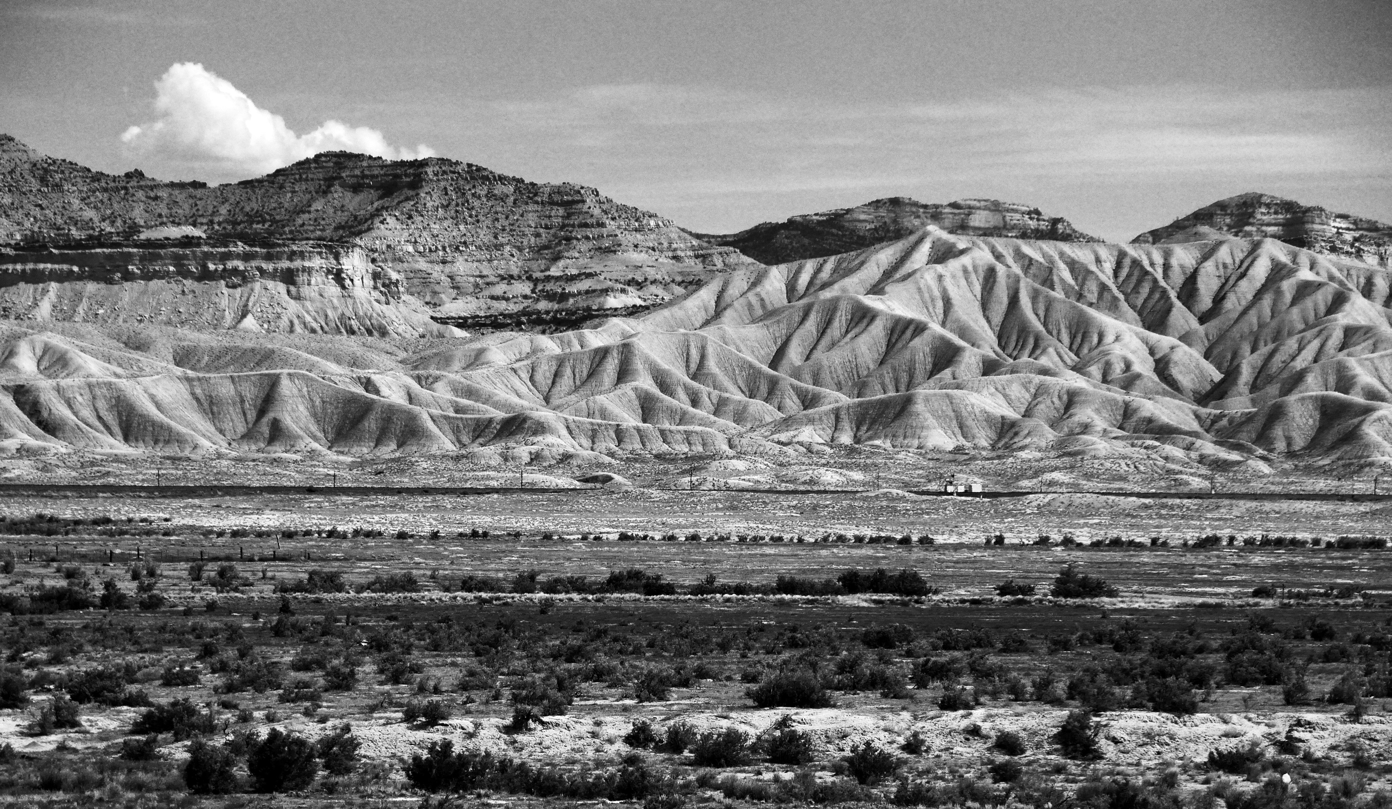 Photo by planetaryfizz