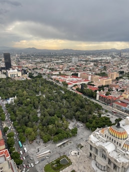 a view of a city from a tall building