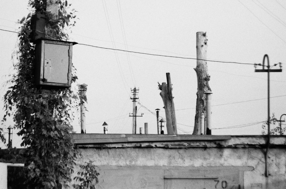 Une photo en noir et blanc d’un vieux bâtiment