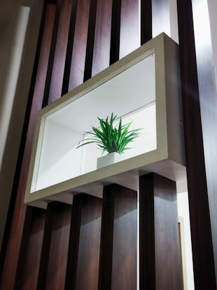 A modern interior piece features a rectangular cuboid shelf mounted on a wall with vertical wooden panels. Inside the shelf sits a small, potted green plant against a white background, creating a minimalist and stylish display.