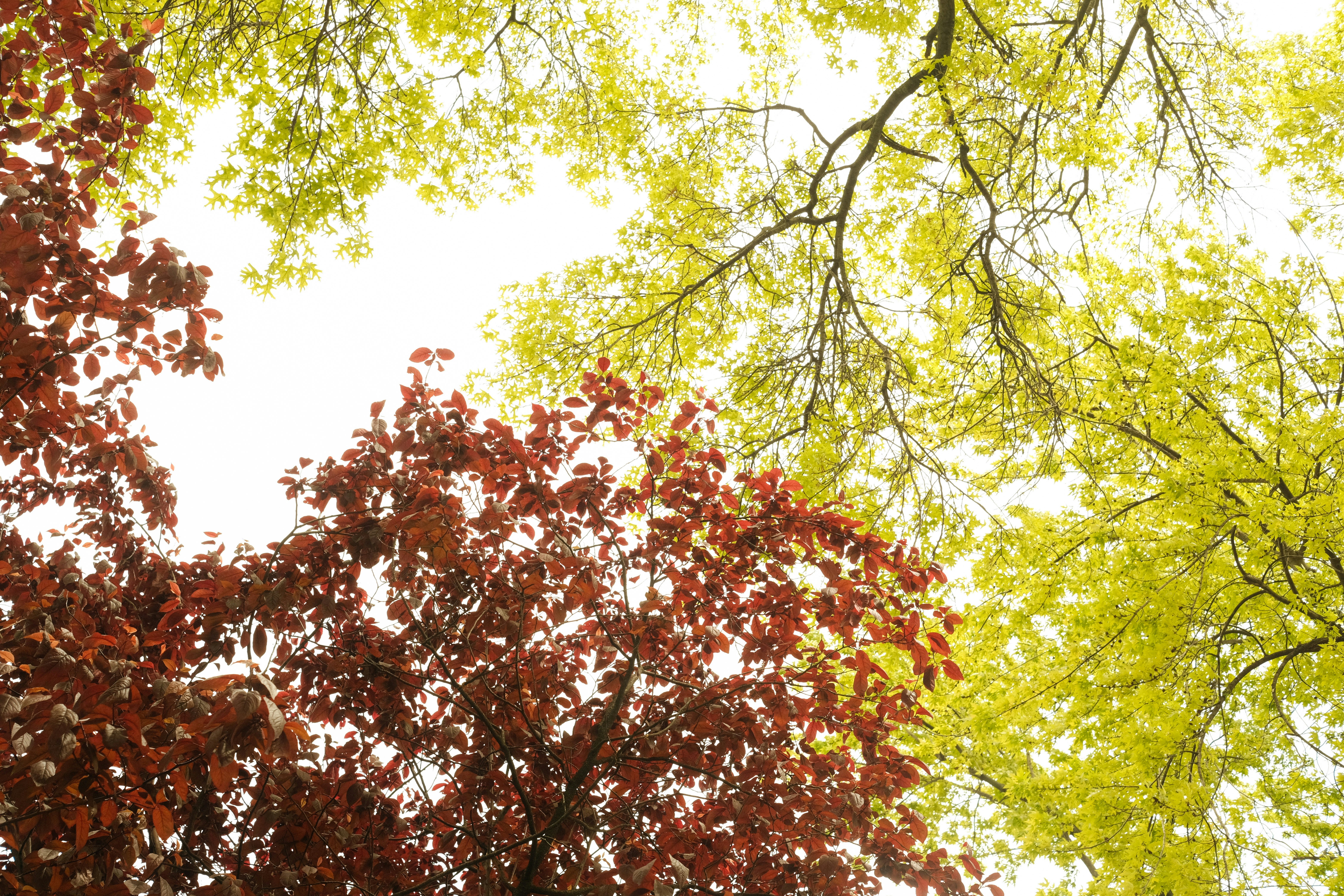 Photo by luisperezphoto