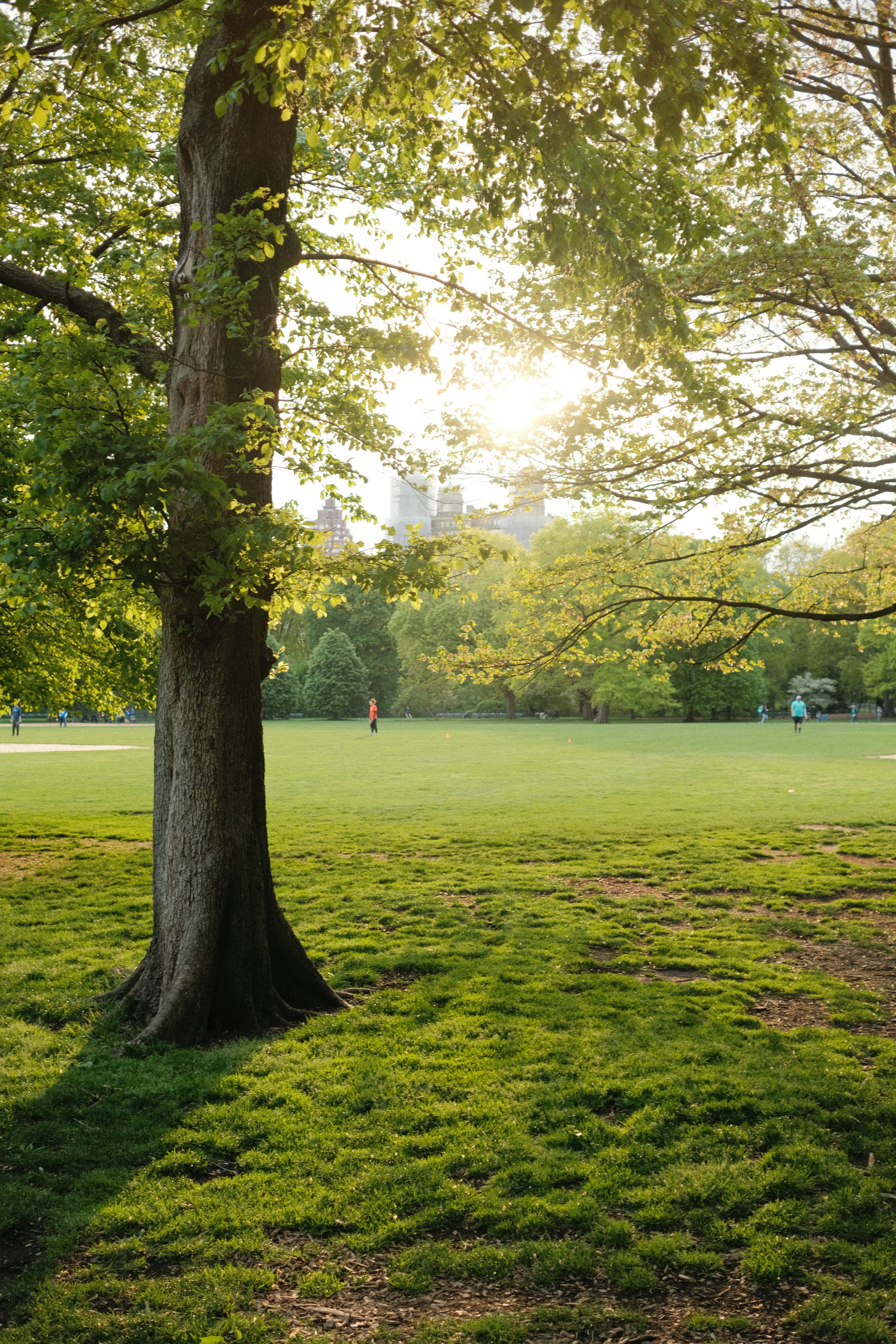 Photo by luisperezphoto