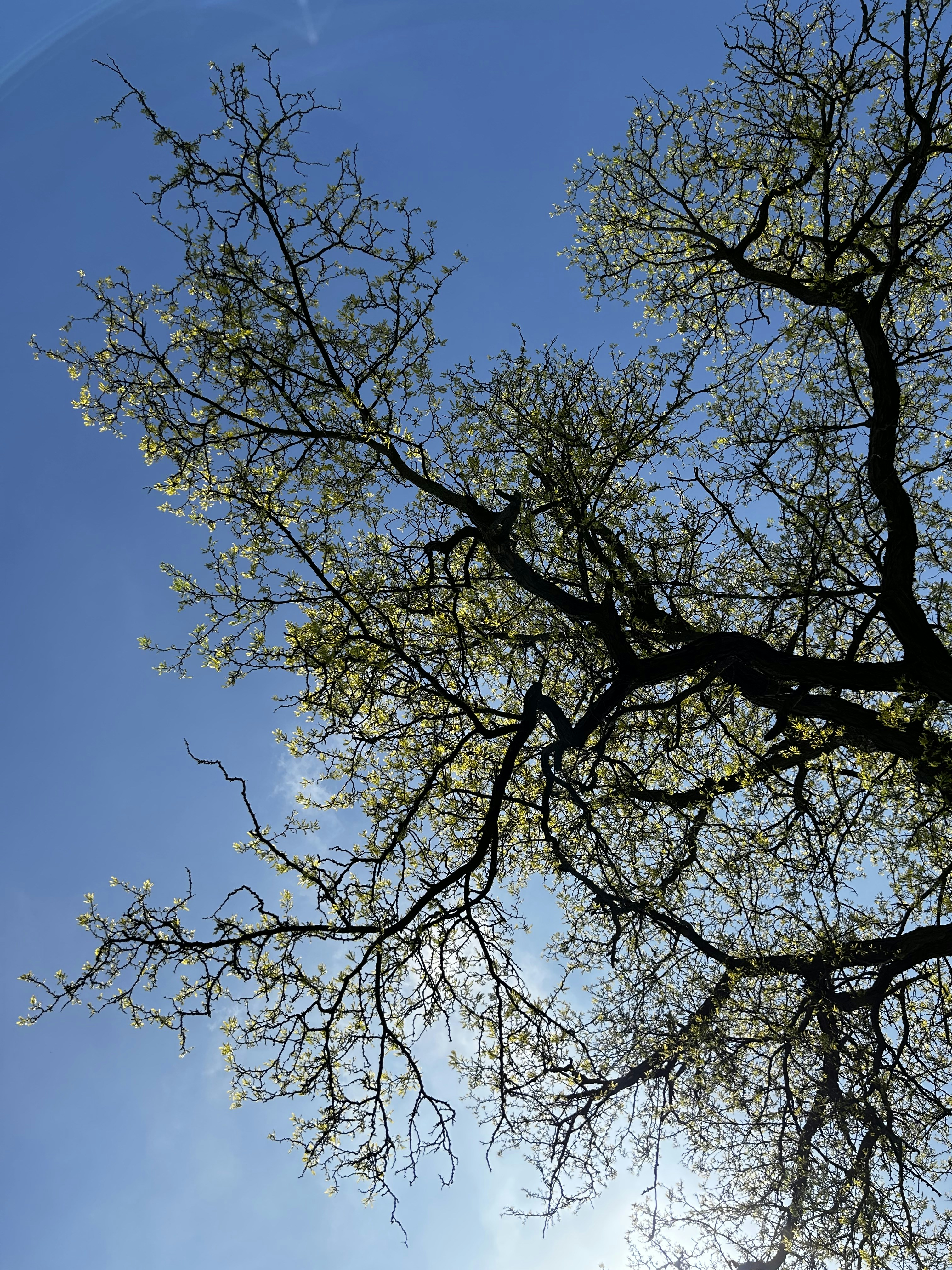 Photo by stephenogunnubi