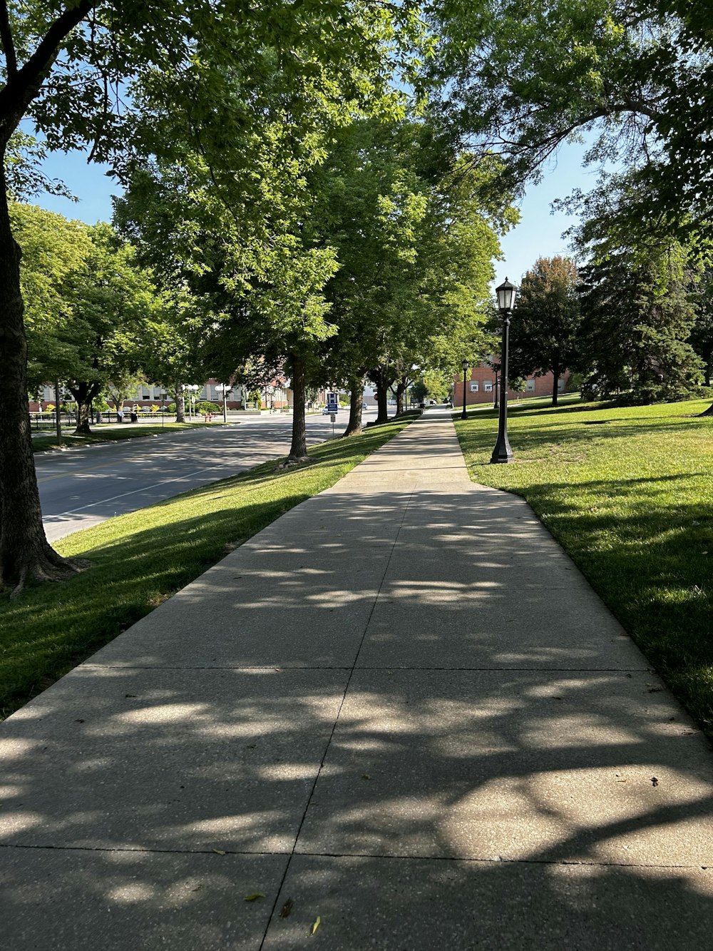 a sidewalk in a park lined with trees