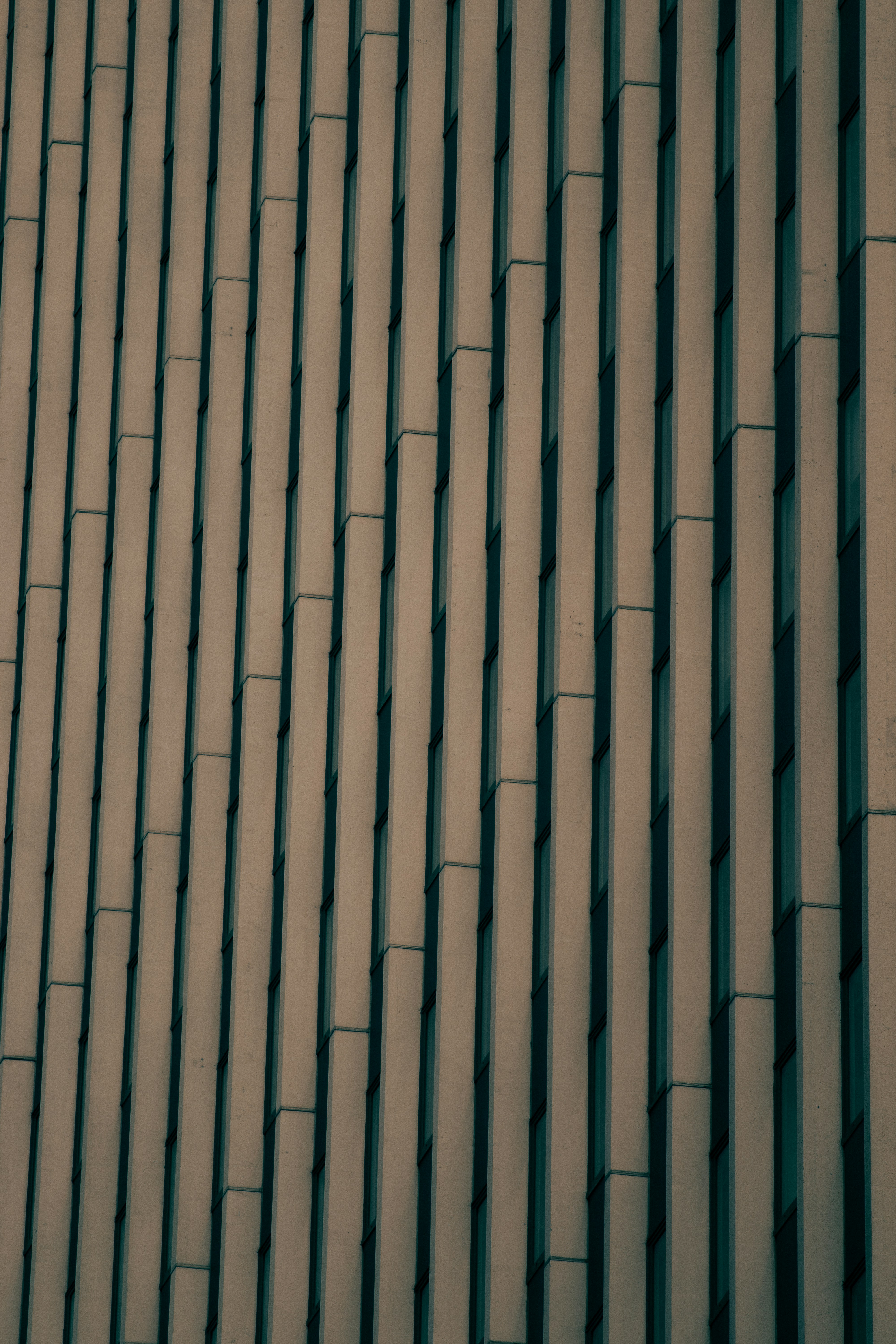 Photo by orian_lev_ari1