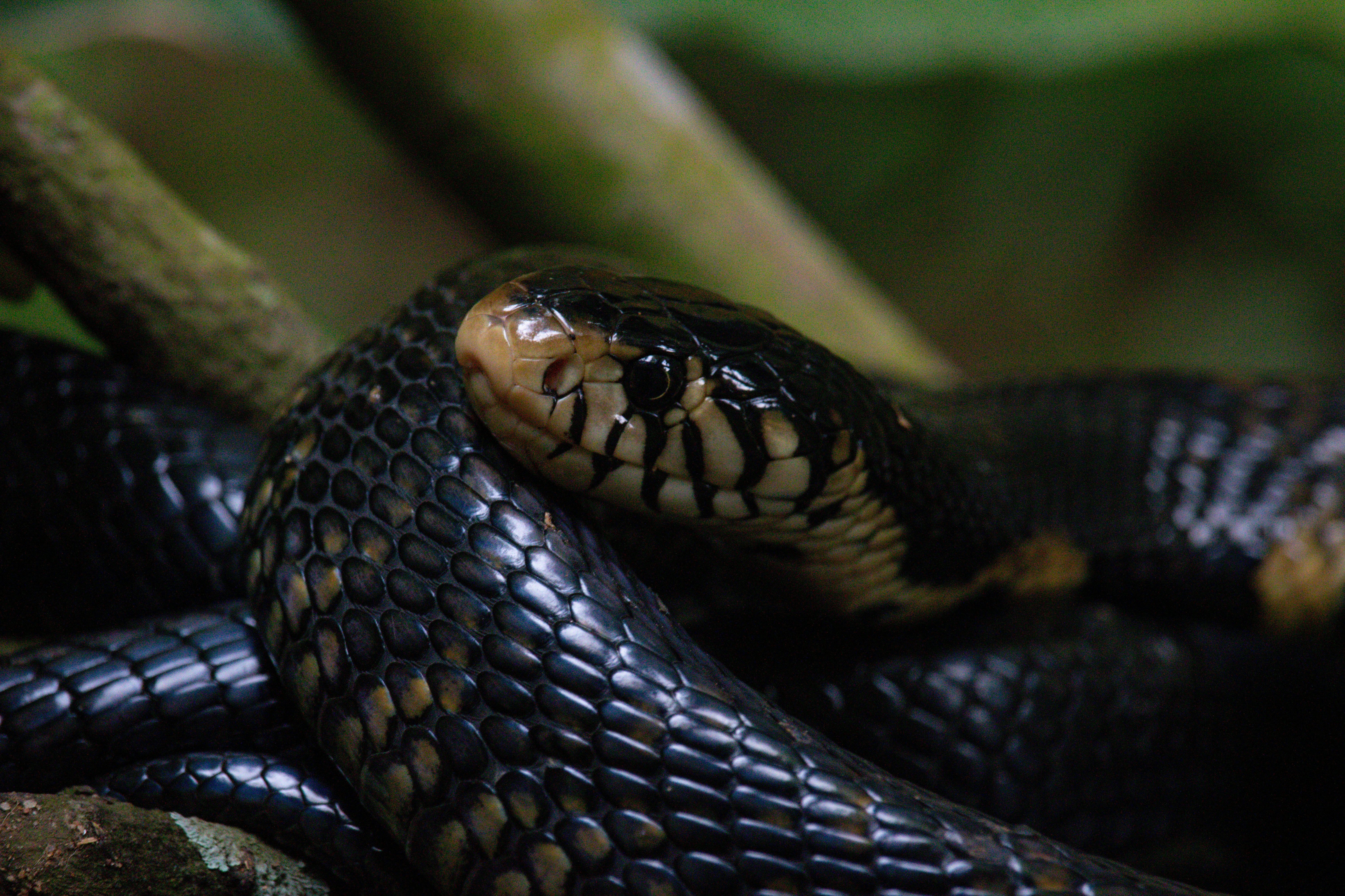 Photo by blessedisaacolupot