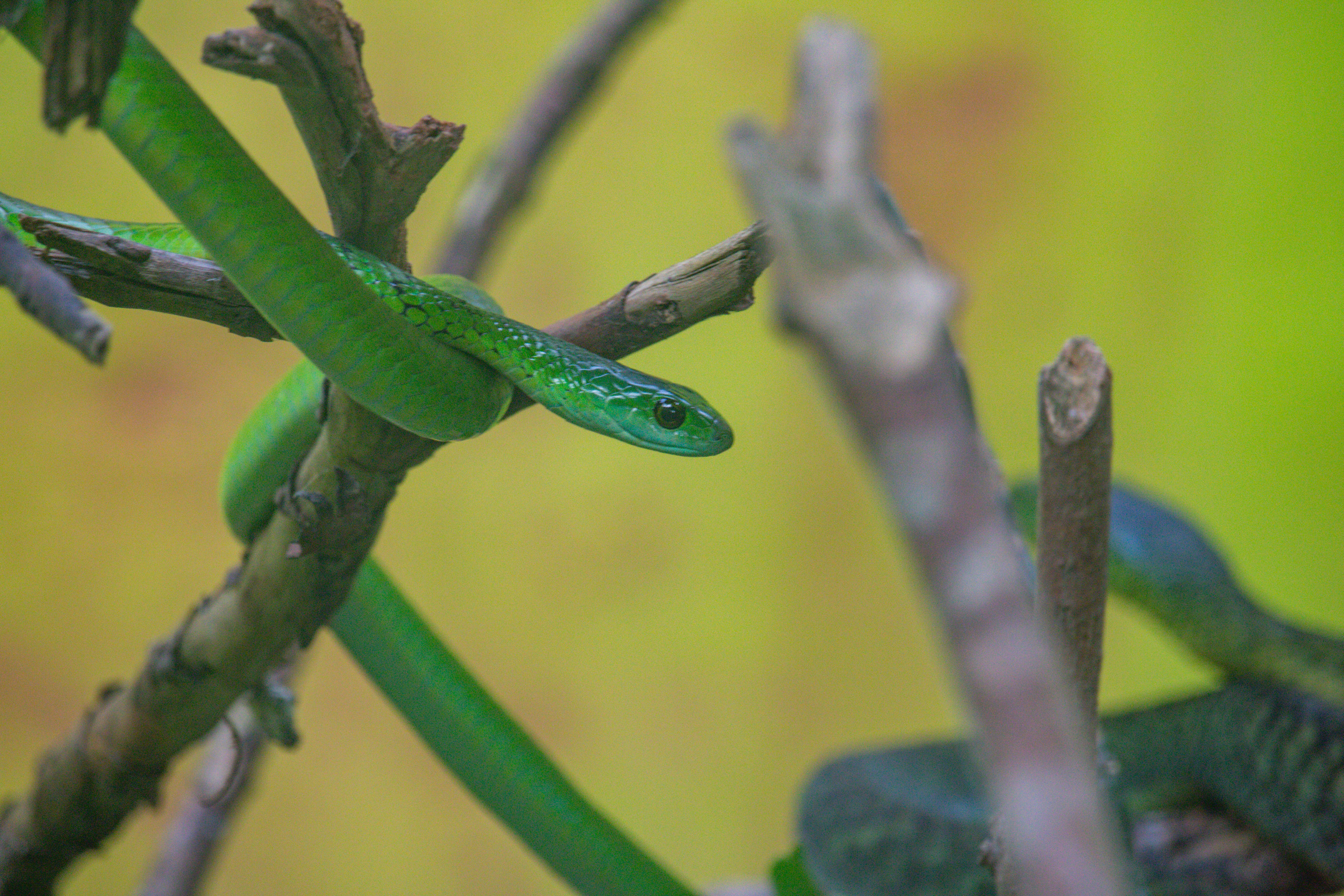 Photo by blessedisaacolupot