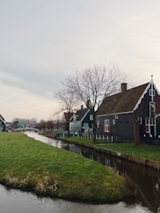 A serene landscape featuring traditional Dutch houses with green wooden exteriors and white trim. The houses are situated along a narrow canal surrounded by lush green grass. Bare trees indicate a winter setting, while the sky is overcast.
