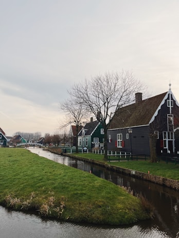 A serene landscape featuring traditional Dutch houses with green wooden exteriors and white trim. The houses are situated along a narrow canal surrounded by lush green grass. Bare trees indicate a winter setting, while the sky is overcast.