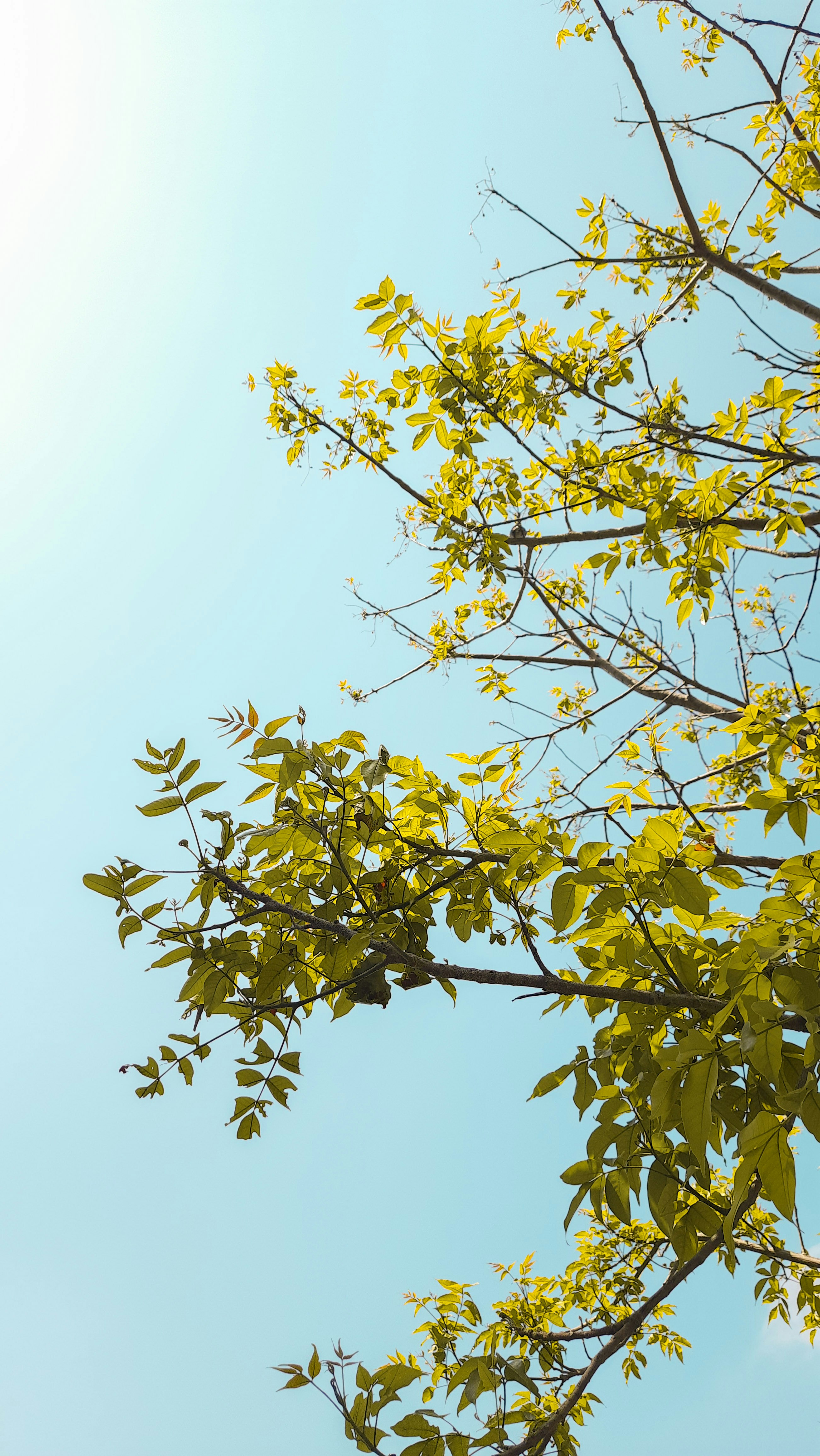 Photo by zablanca_clicks